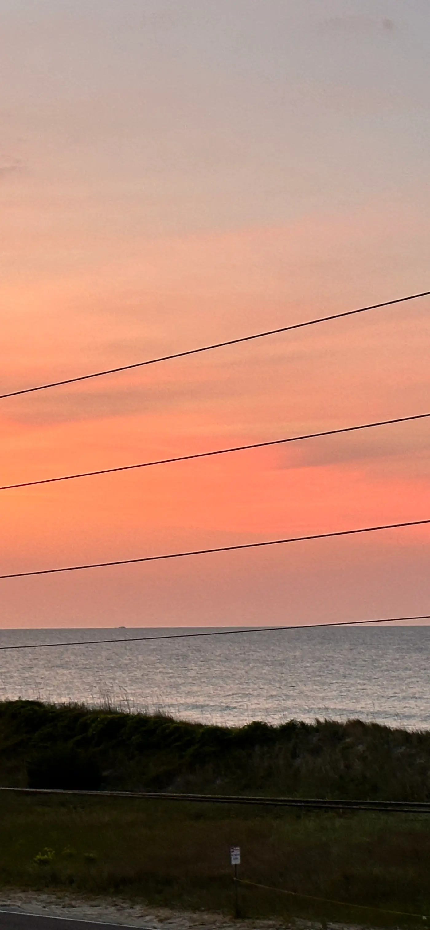 NTB1259 Endless Summer