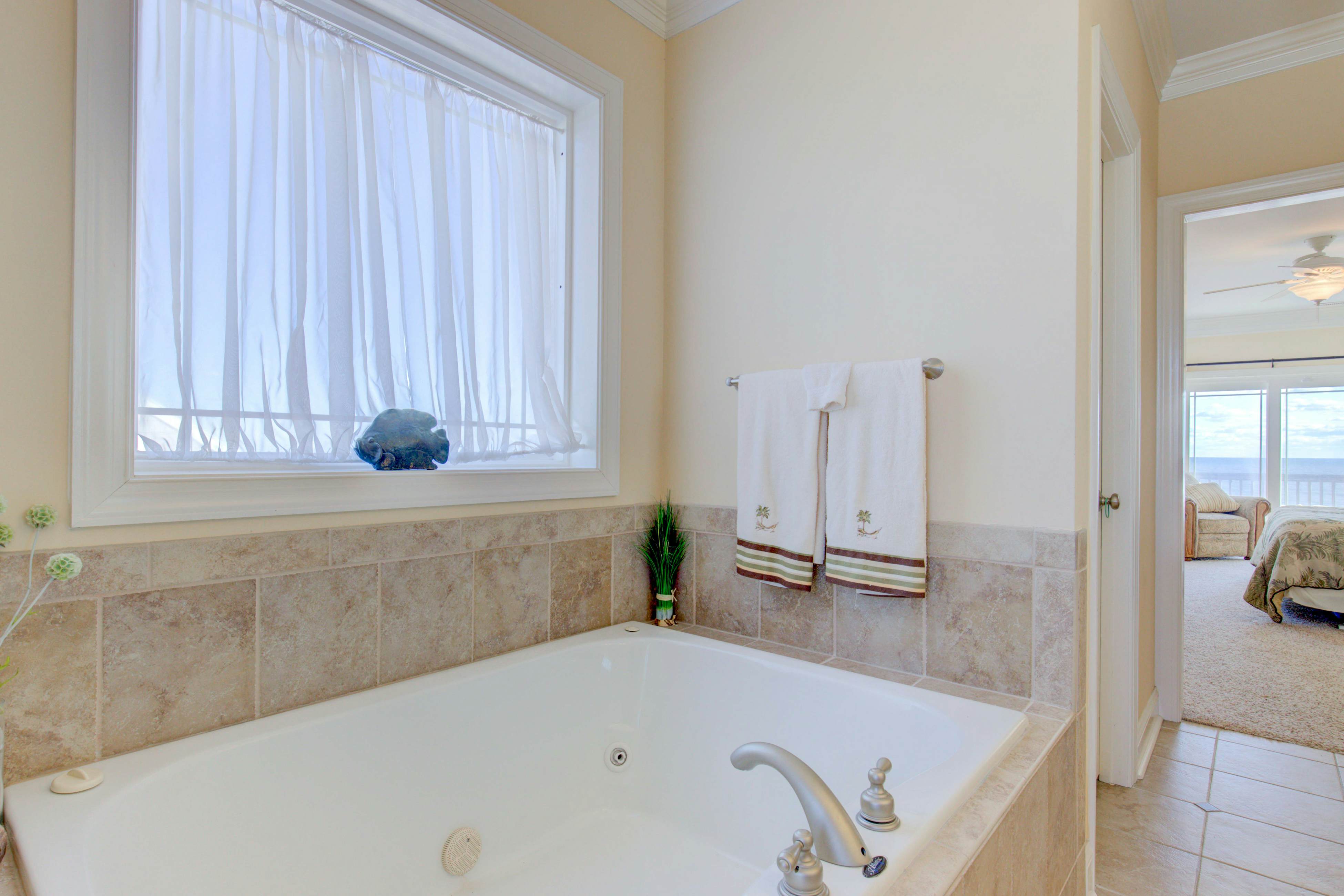 NTB4384 Parrots Perch