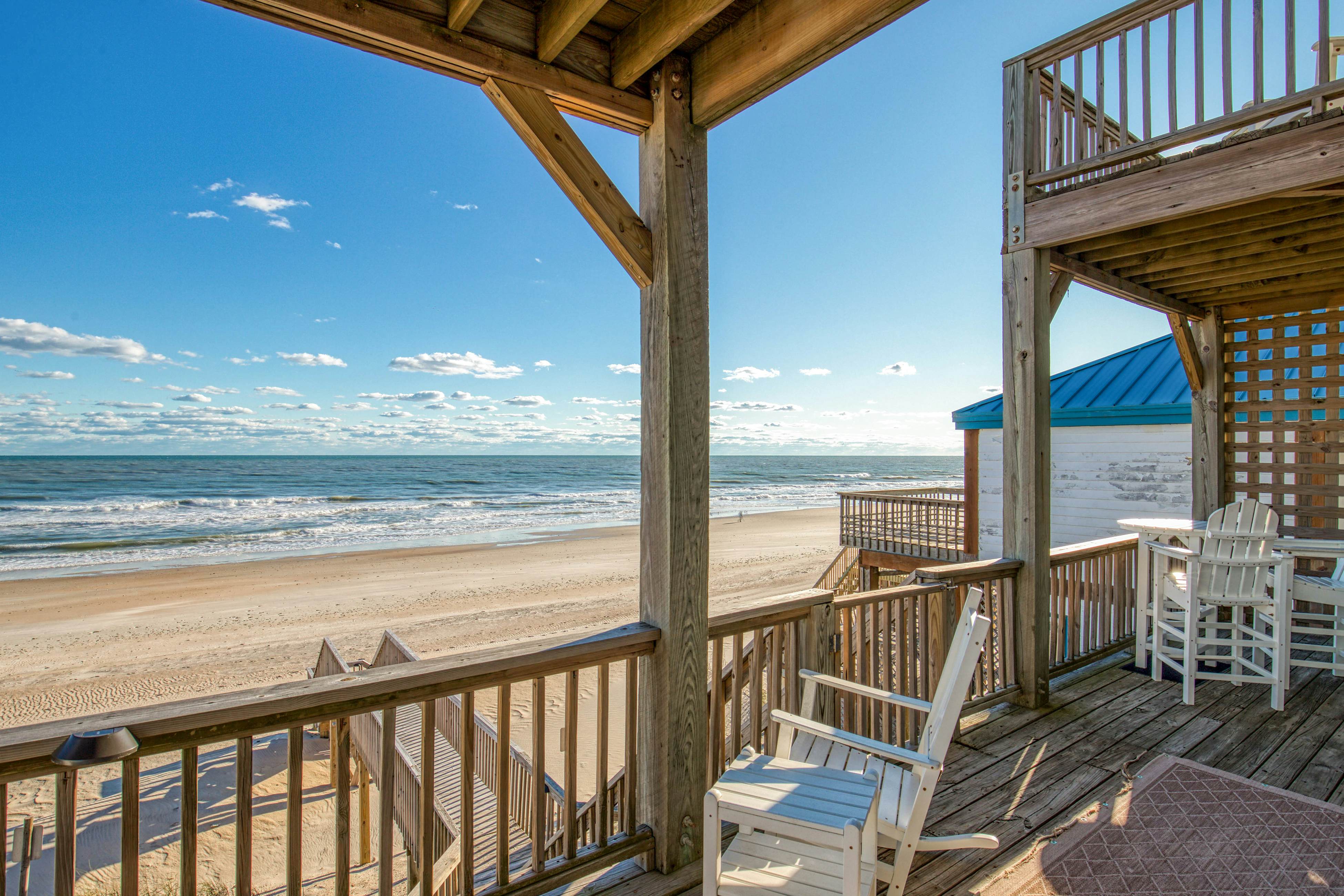 NTB4384 Parrots Perch