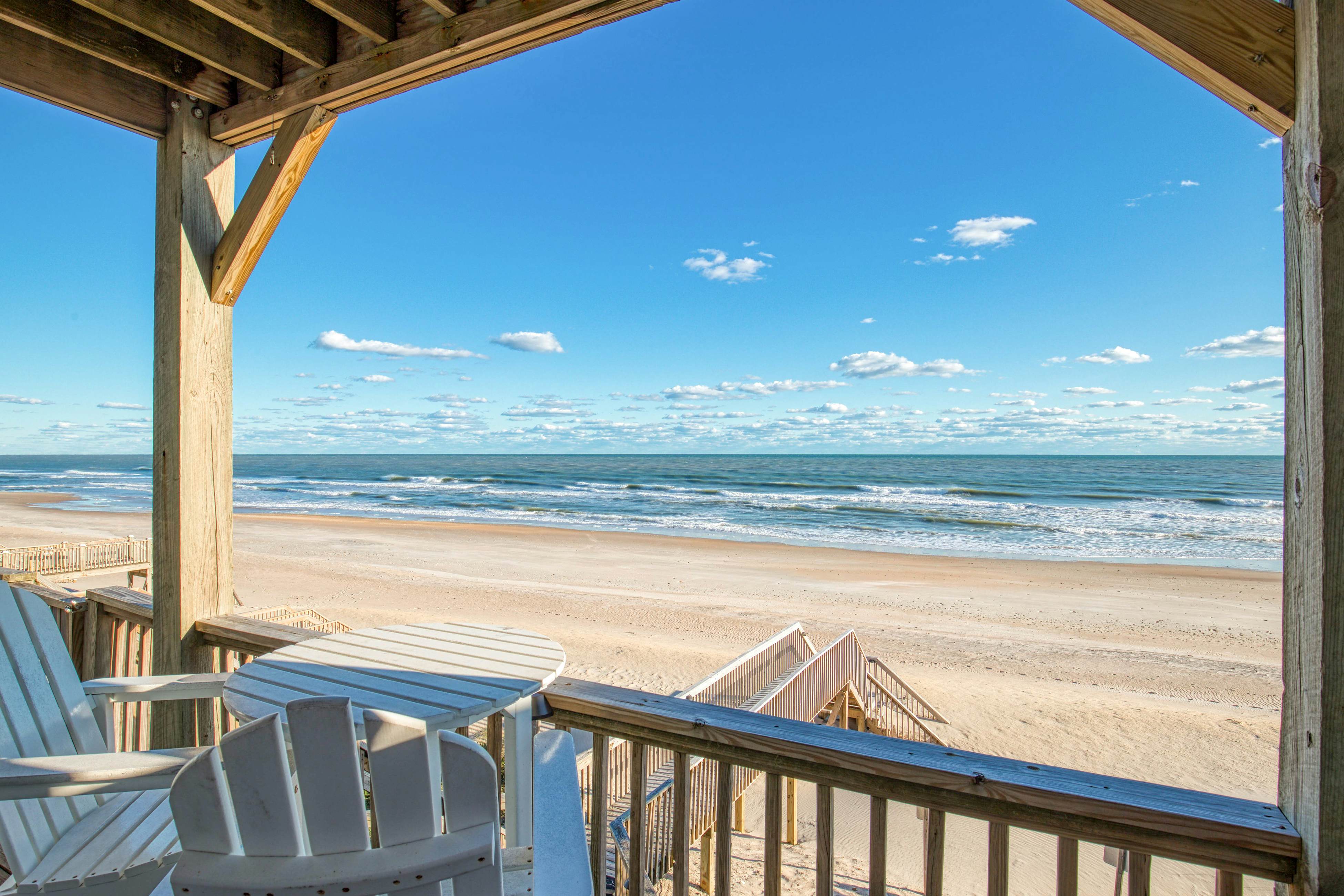 NTB4384 Parrots Perch