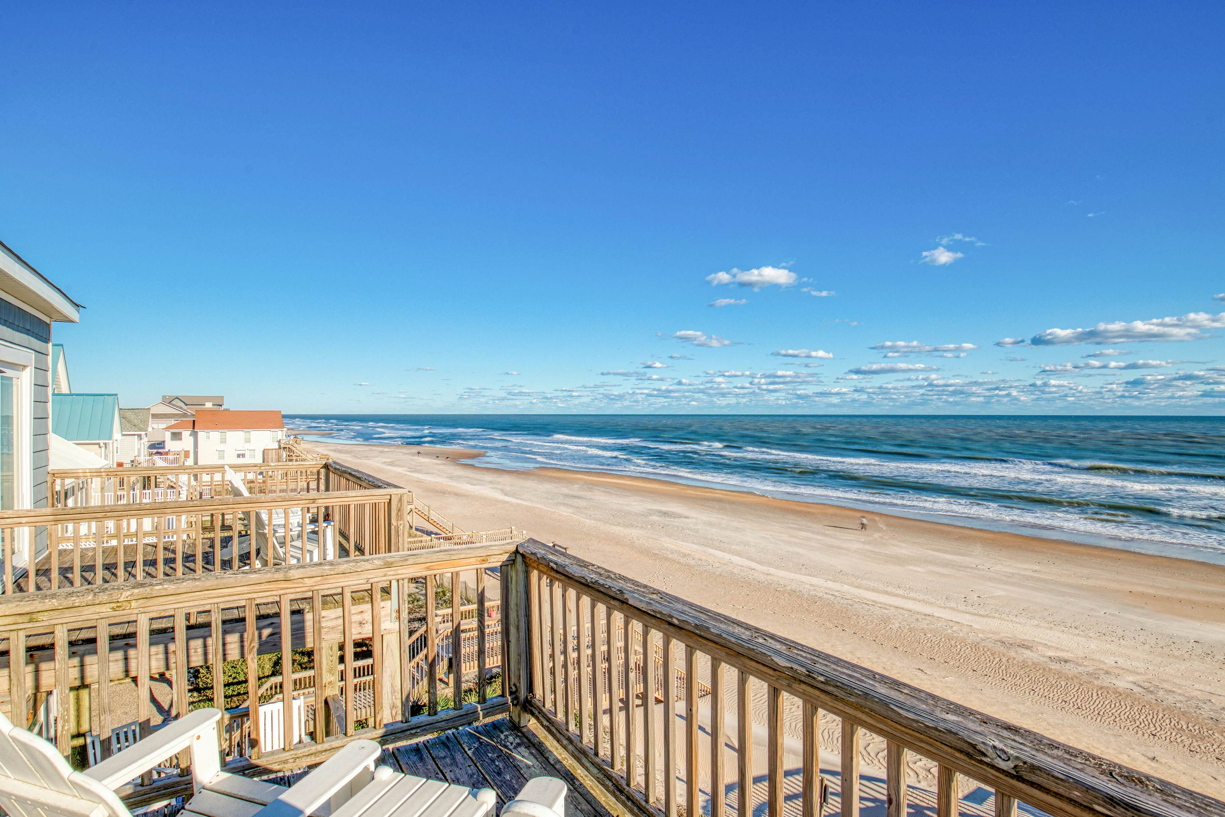 NTB4384 Parrots Perch