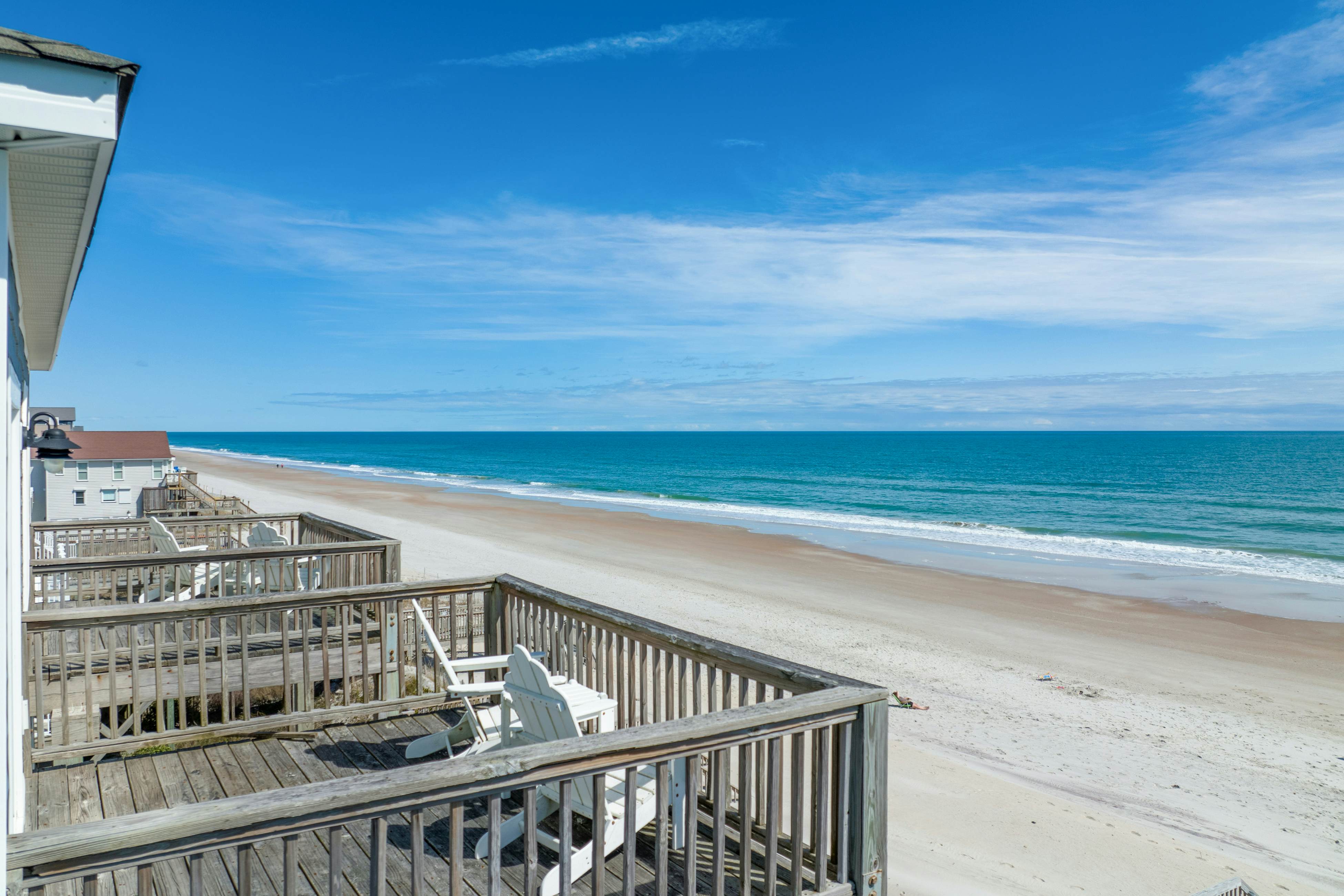 NTB4384 Parrots Perch