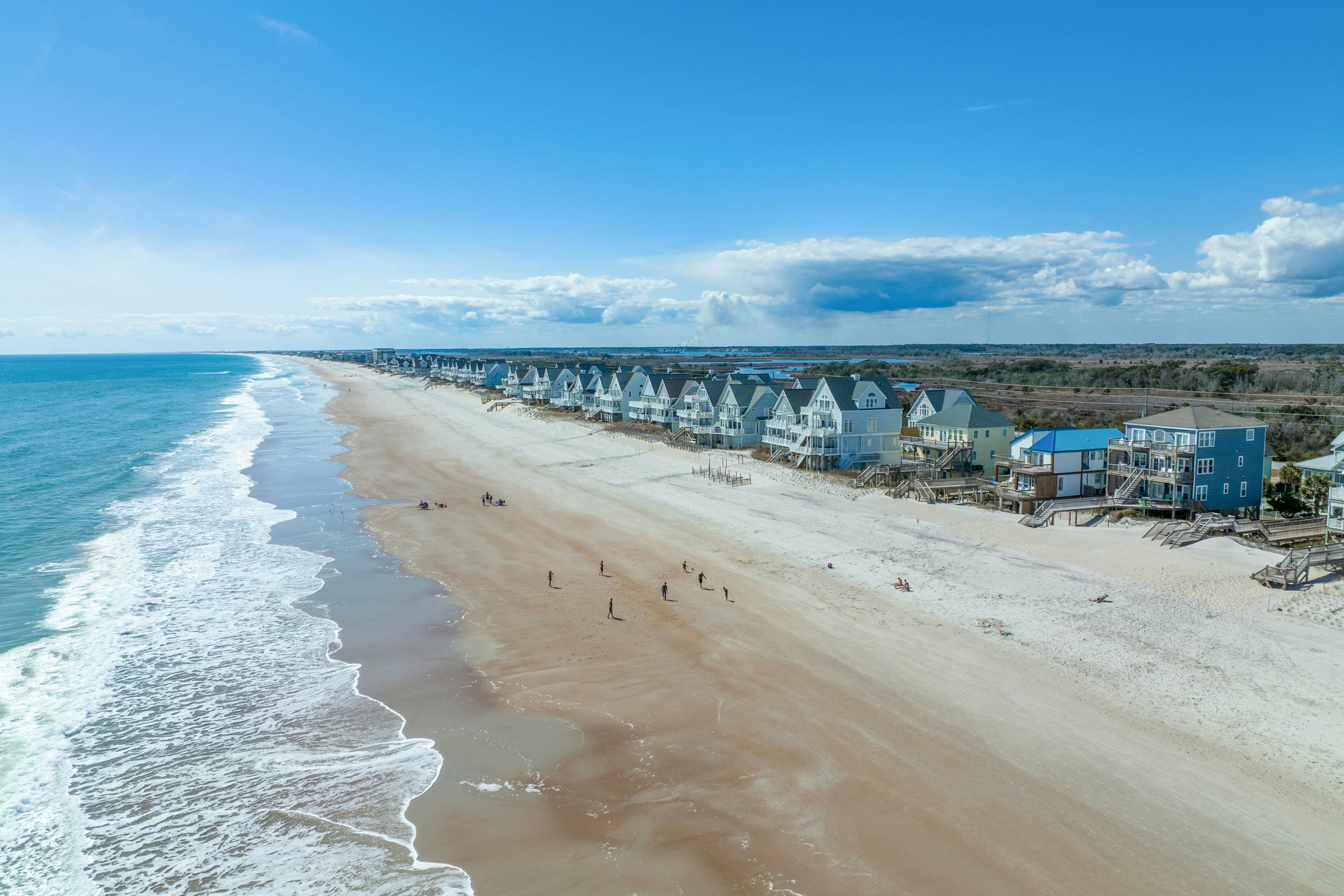 NTB4384 Parrots Perch