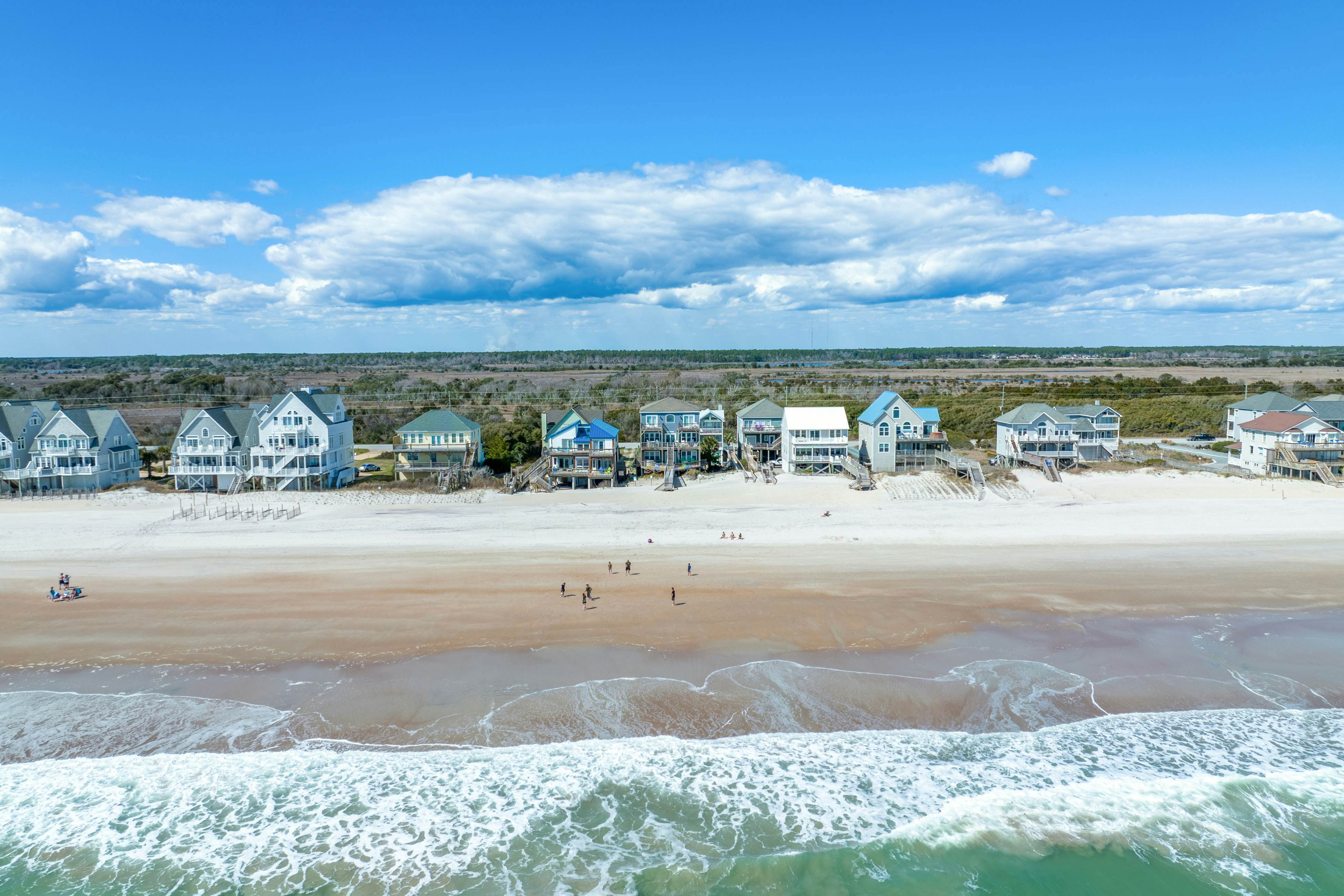 NTB4384 Parrots Perch