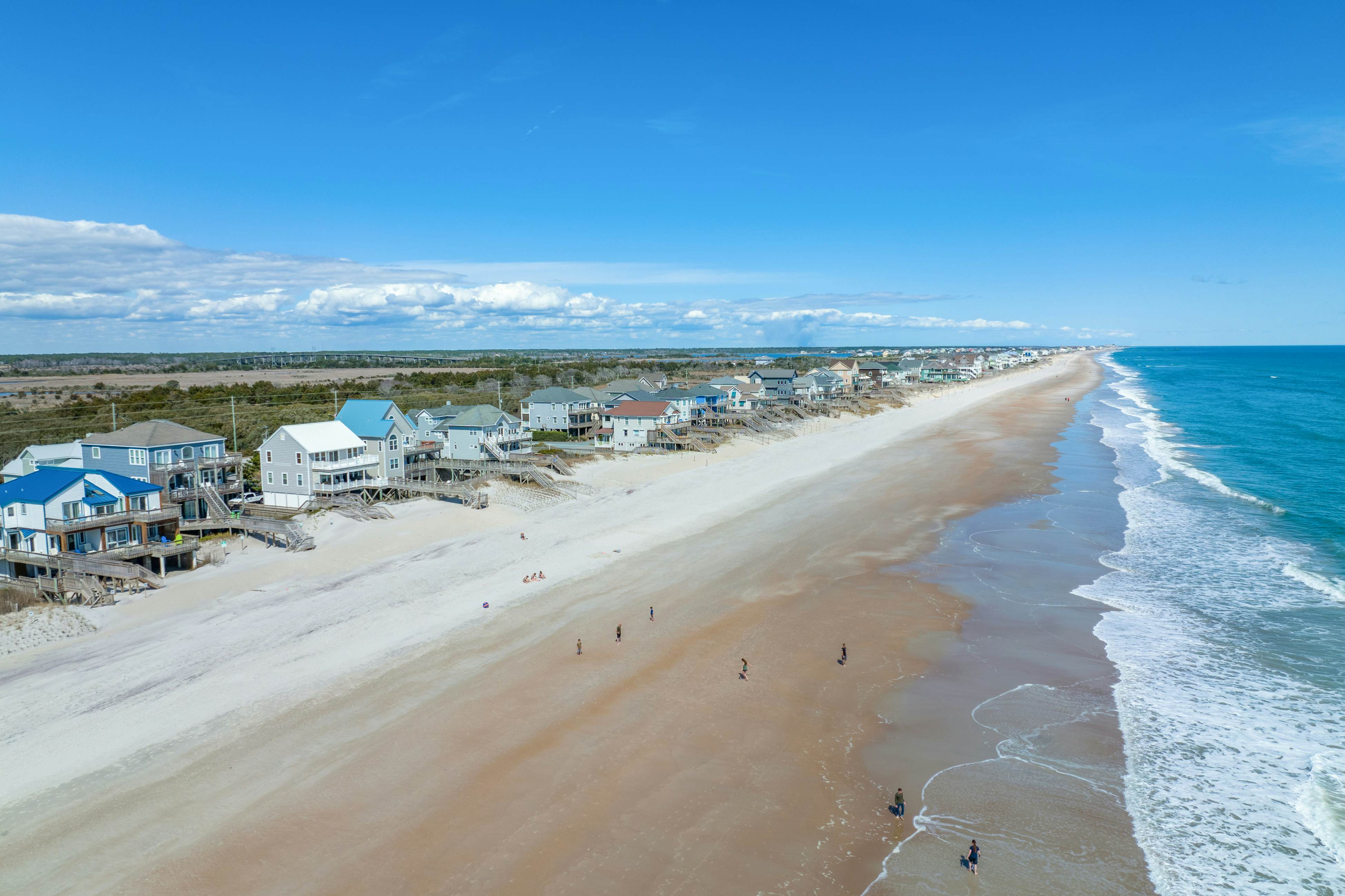 NTB4384 Parrots Perch