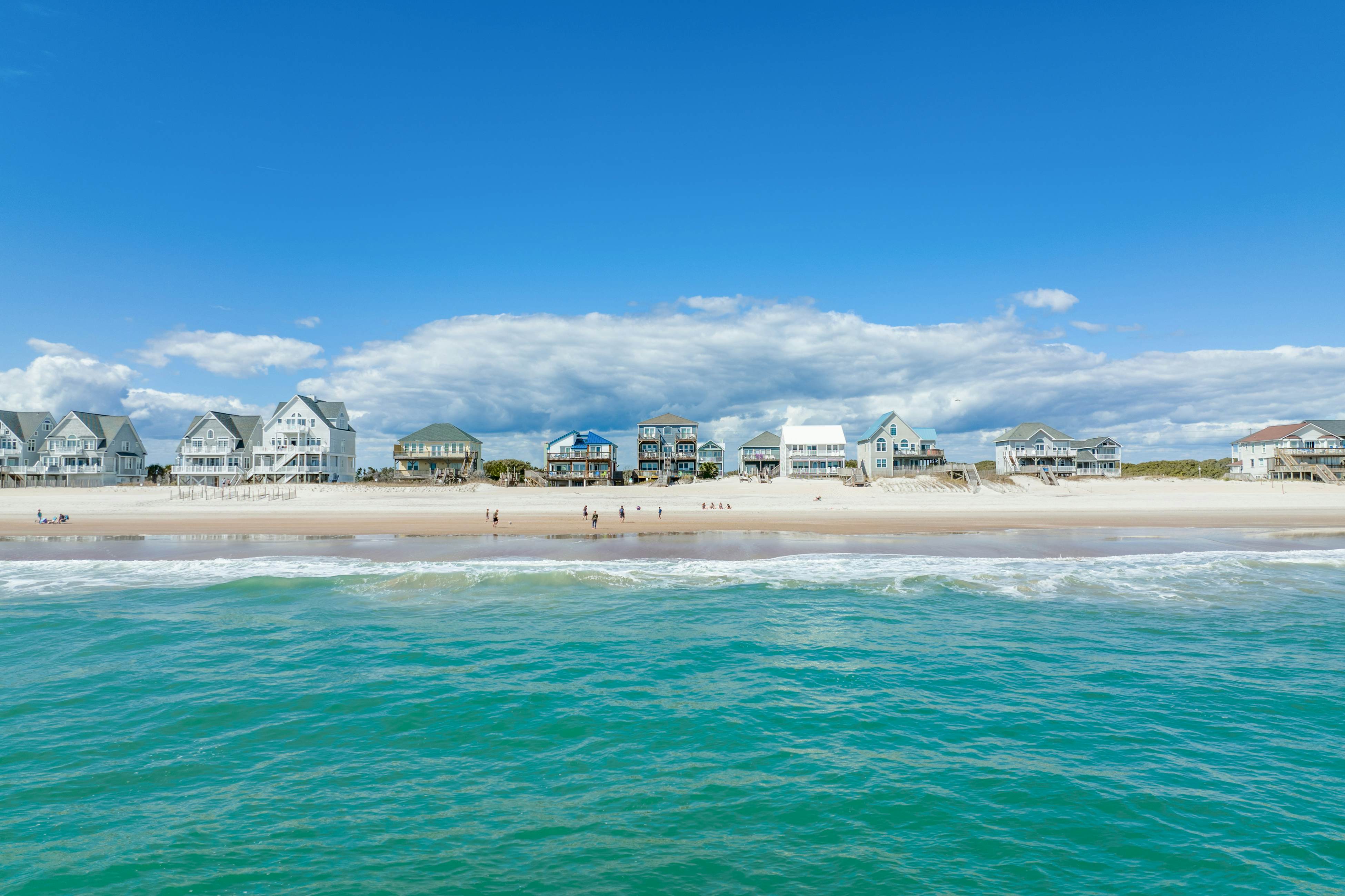 NTB4384 Parrots Perch