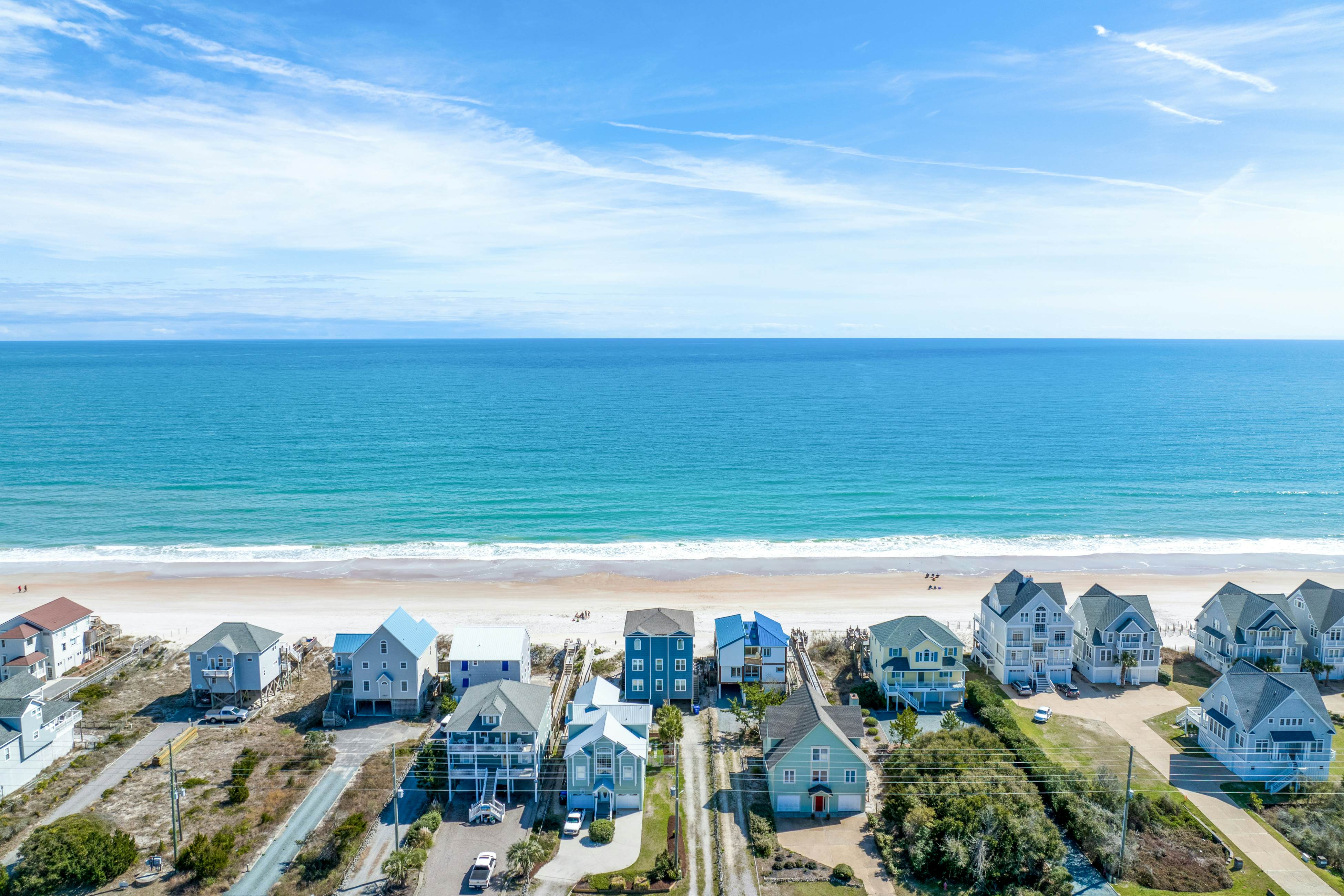 NTB4384 Parrots Perch