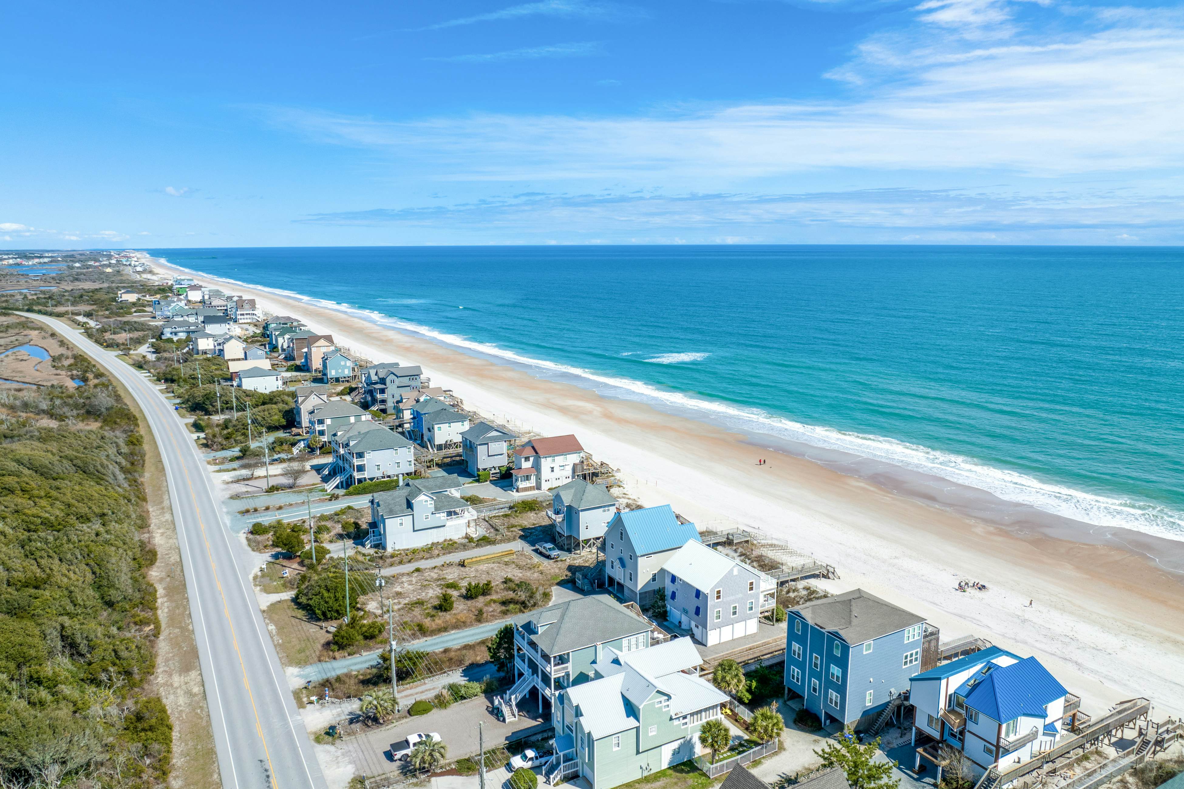 NTB4384 Parrots Perch