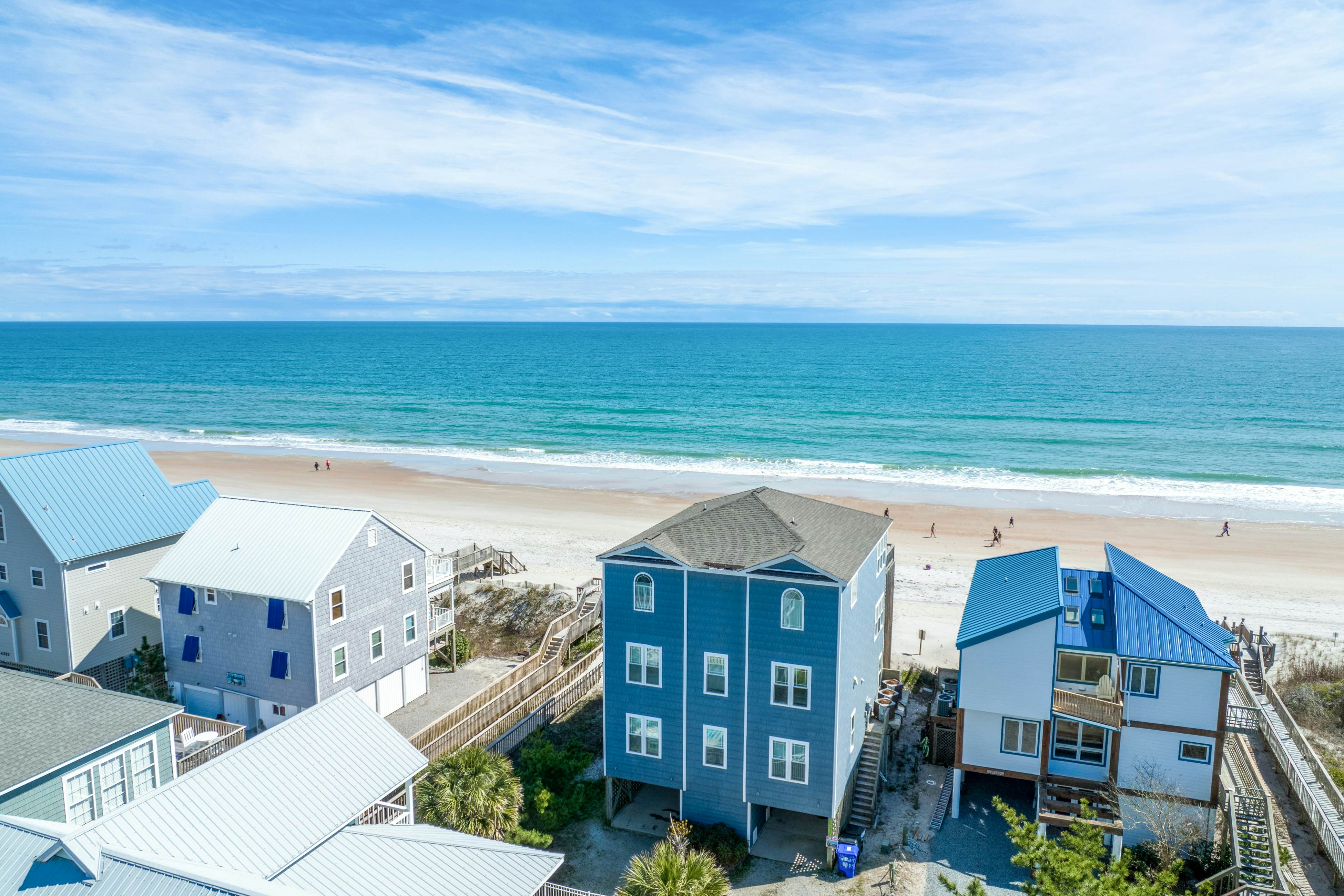 NTB4384 Parrots Perch