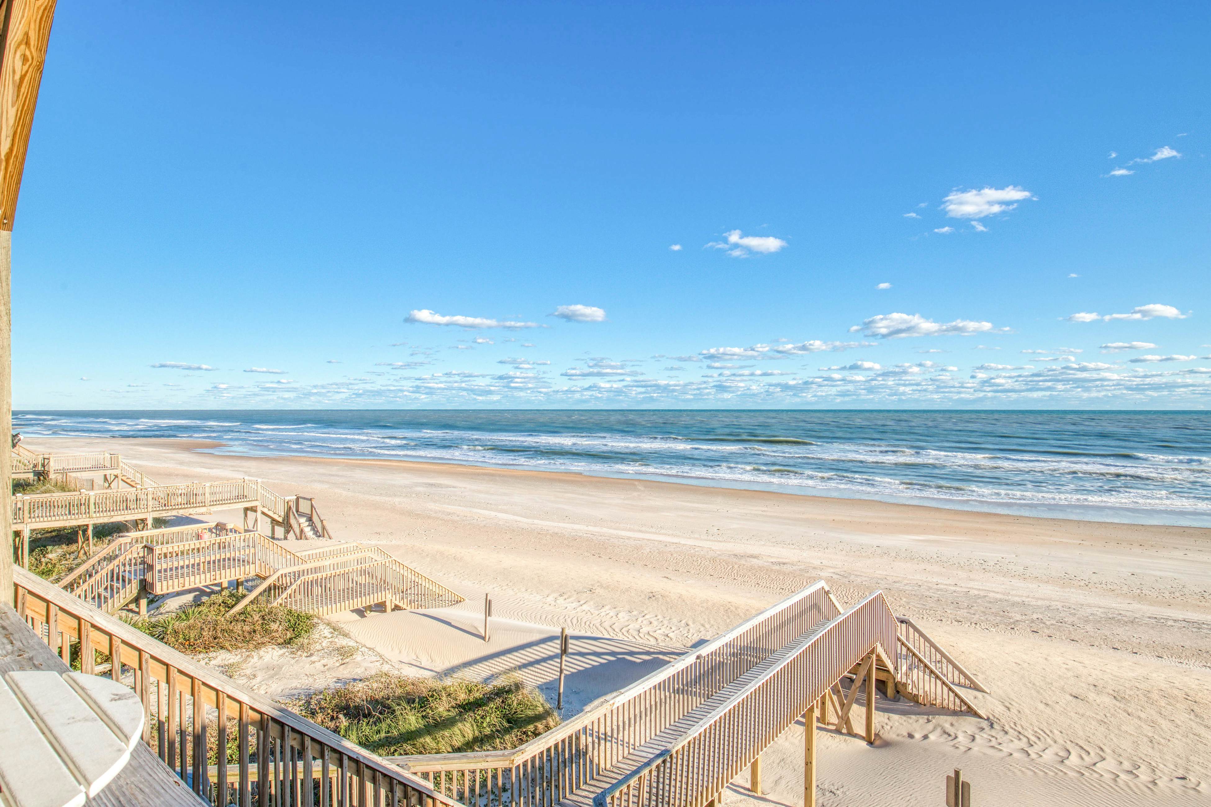 NTB4384 Parrots Perch