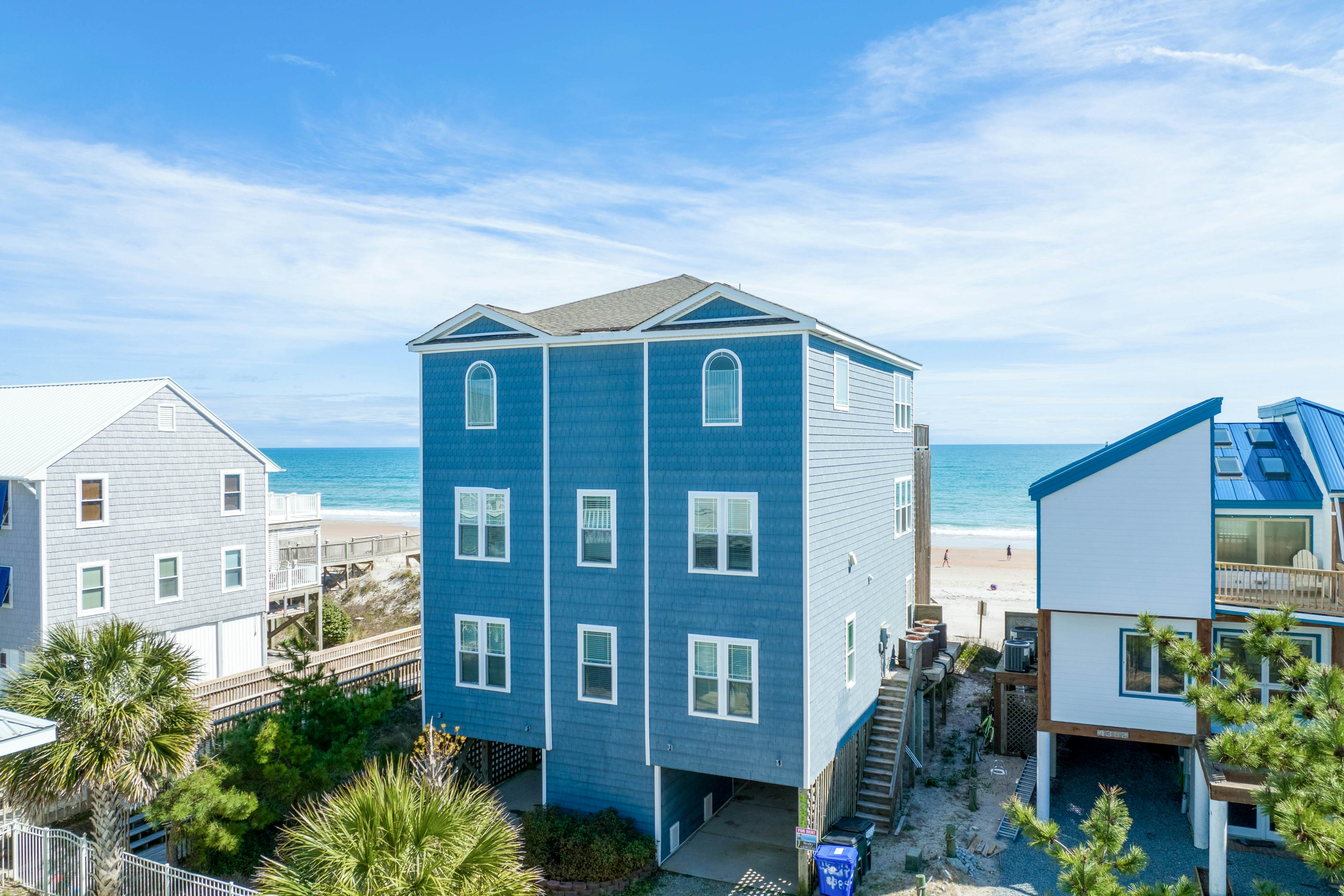 NTB4384 Parrots Perch