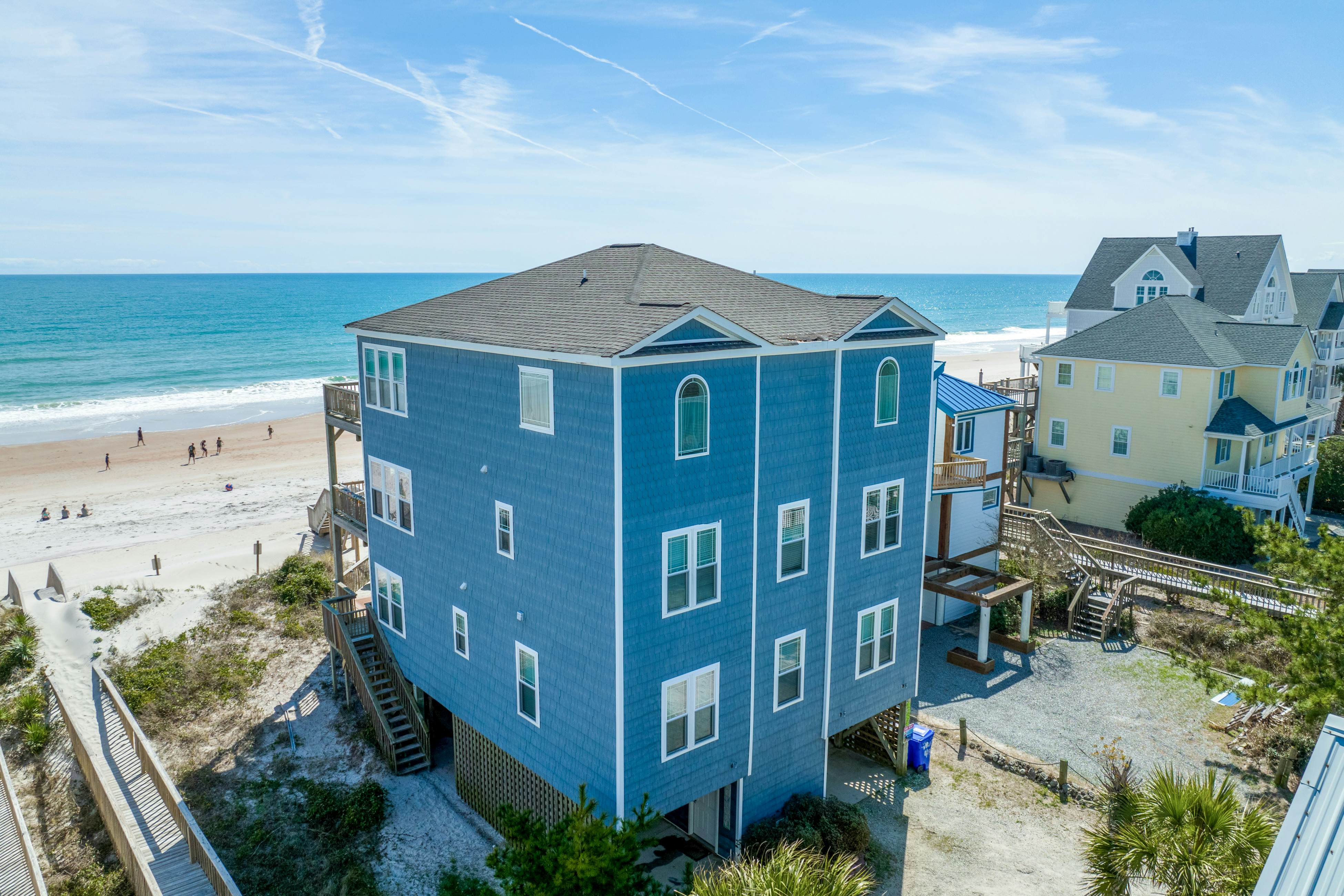 NTB4384 Parrots Perch