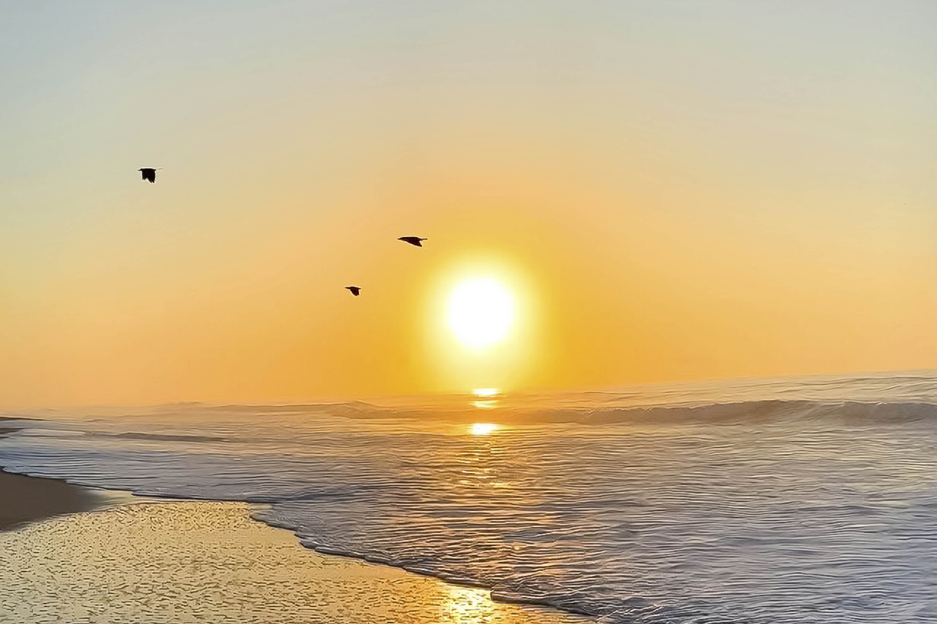 NTB604 White Lotus - Beachfront Edition