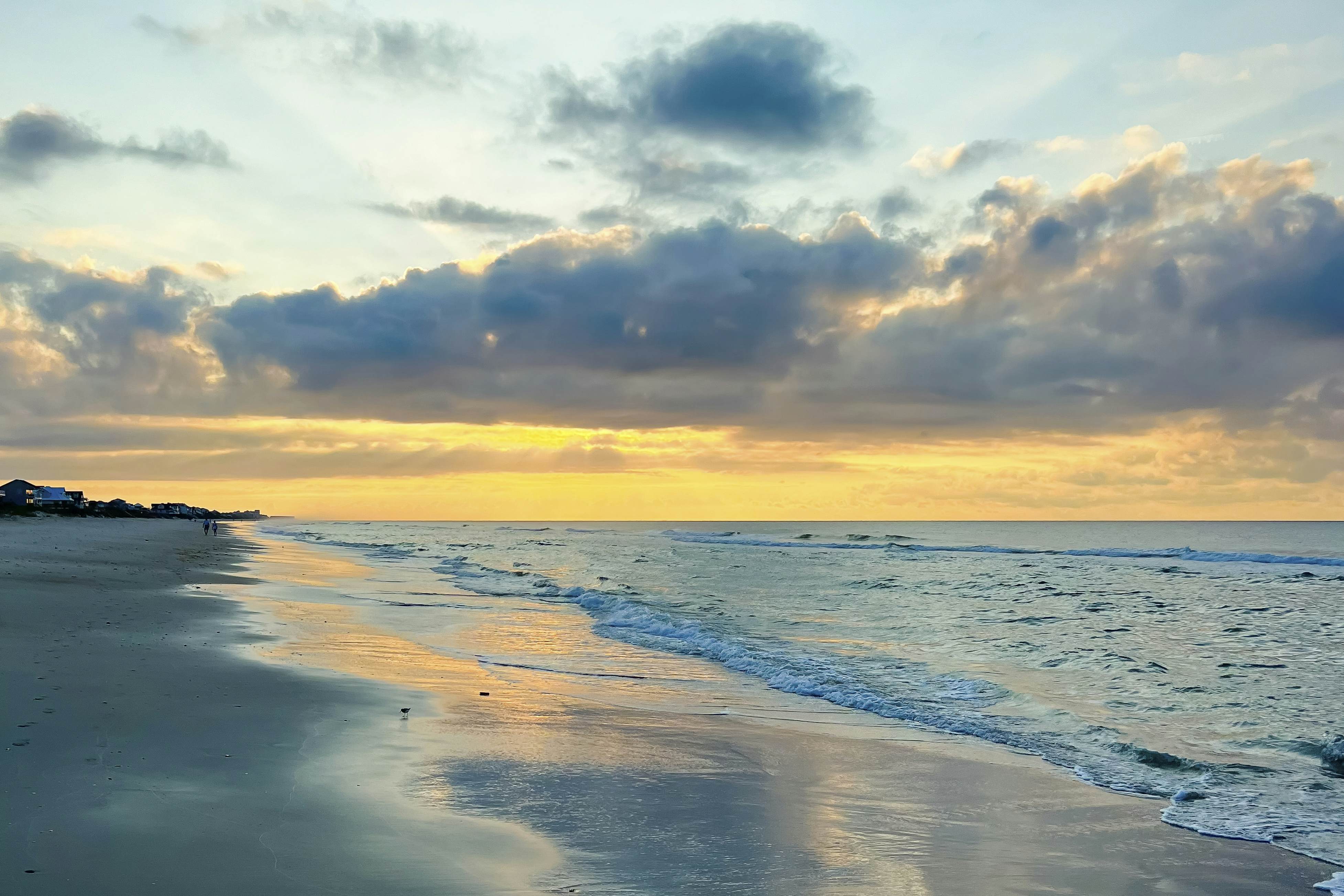 NTB604 White Lotus - Beachfront Edition