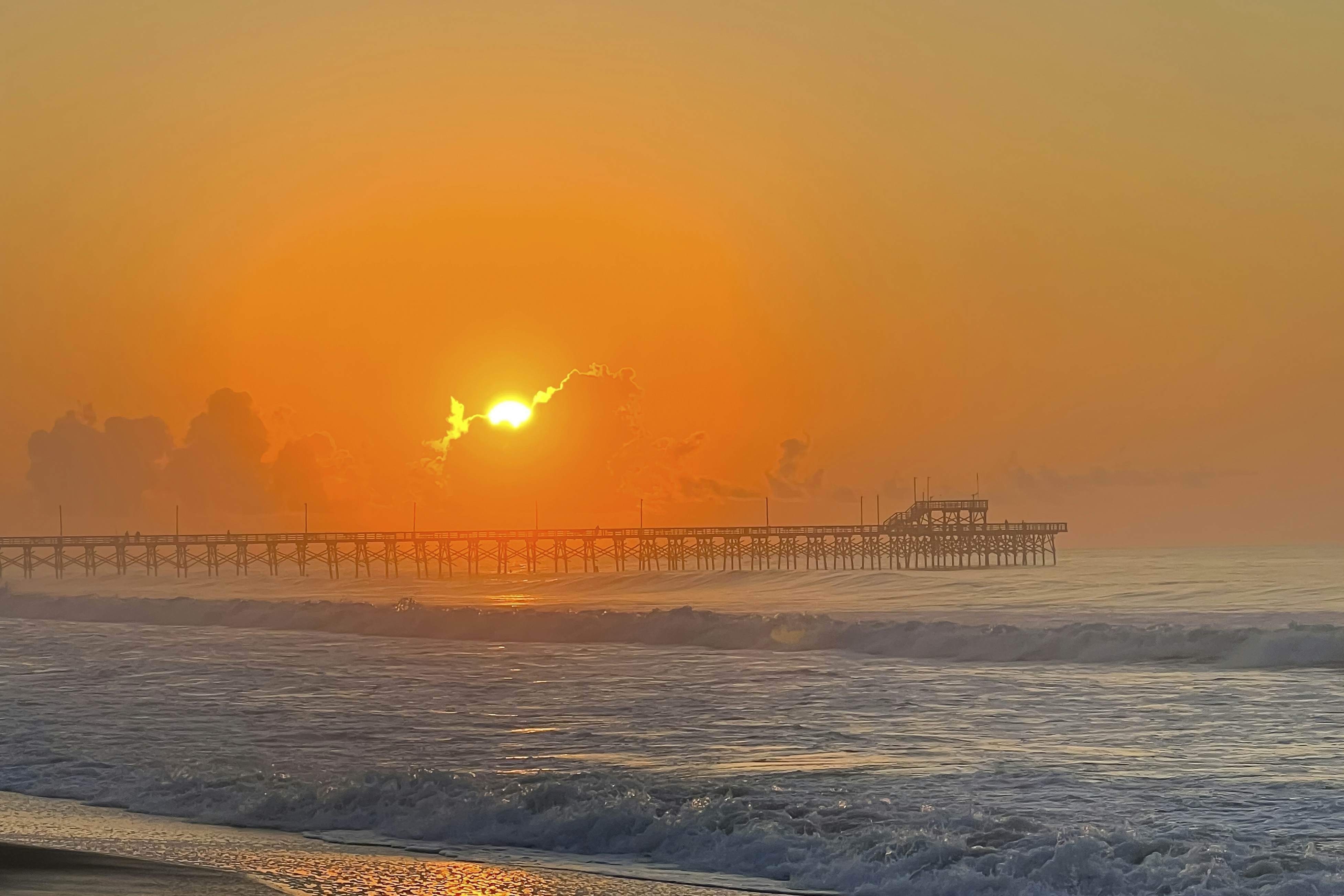 NTB604 White Lotus - Beachfront Edition