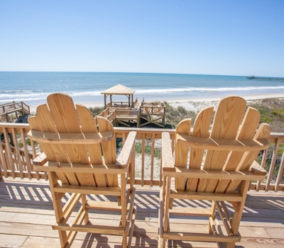 NTB1020 Gray Dolphin III