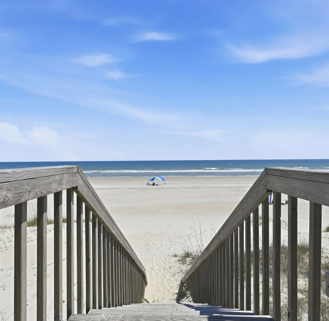 SC2204 Shore is Great