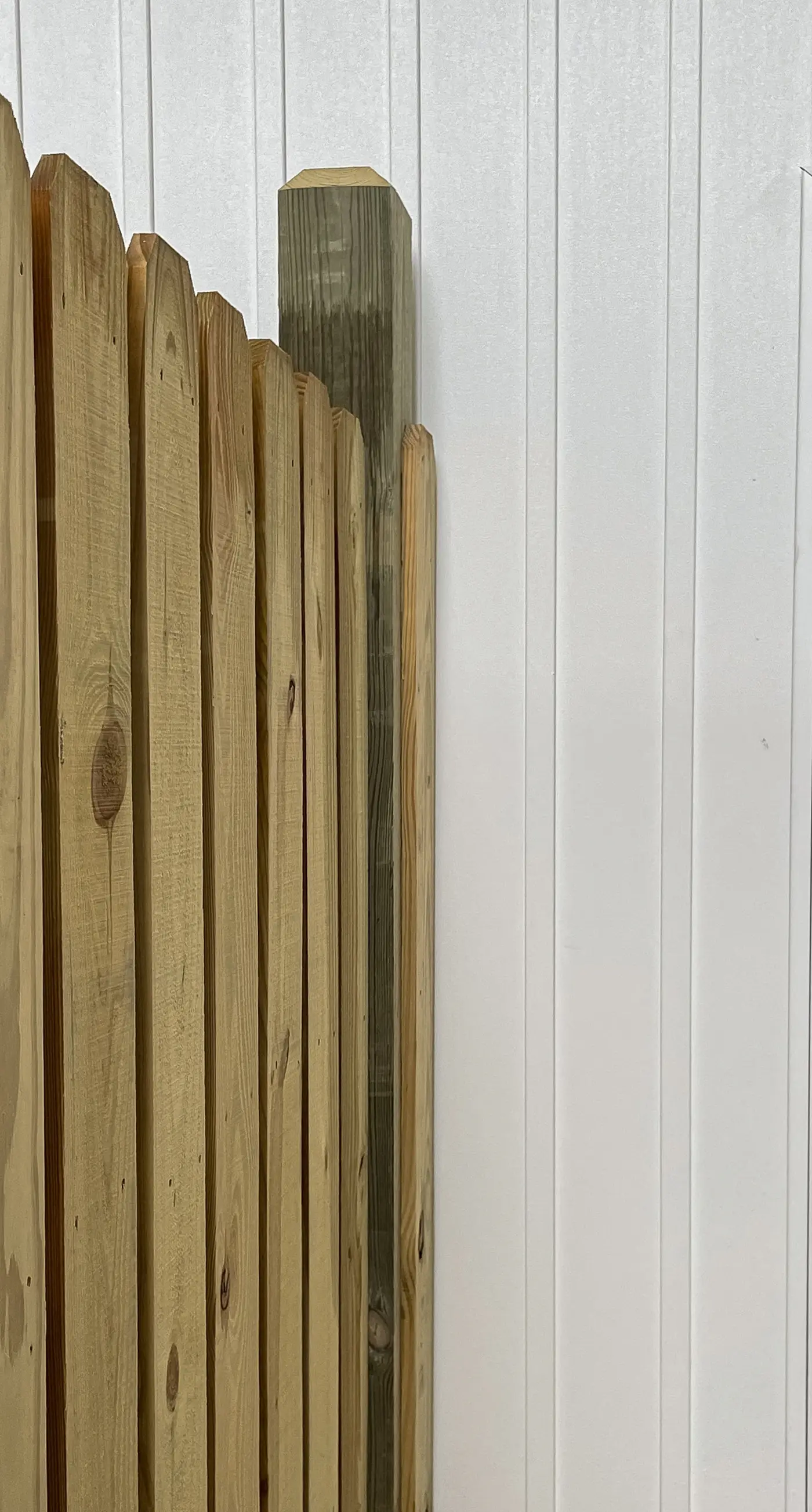 SC1407B The Salty Unicorn