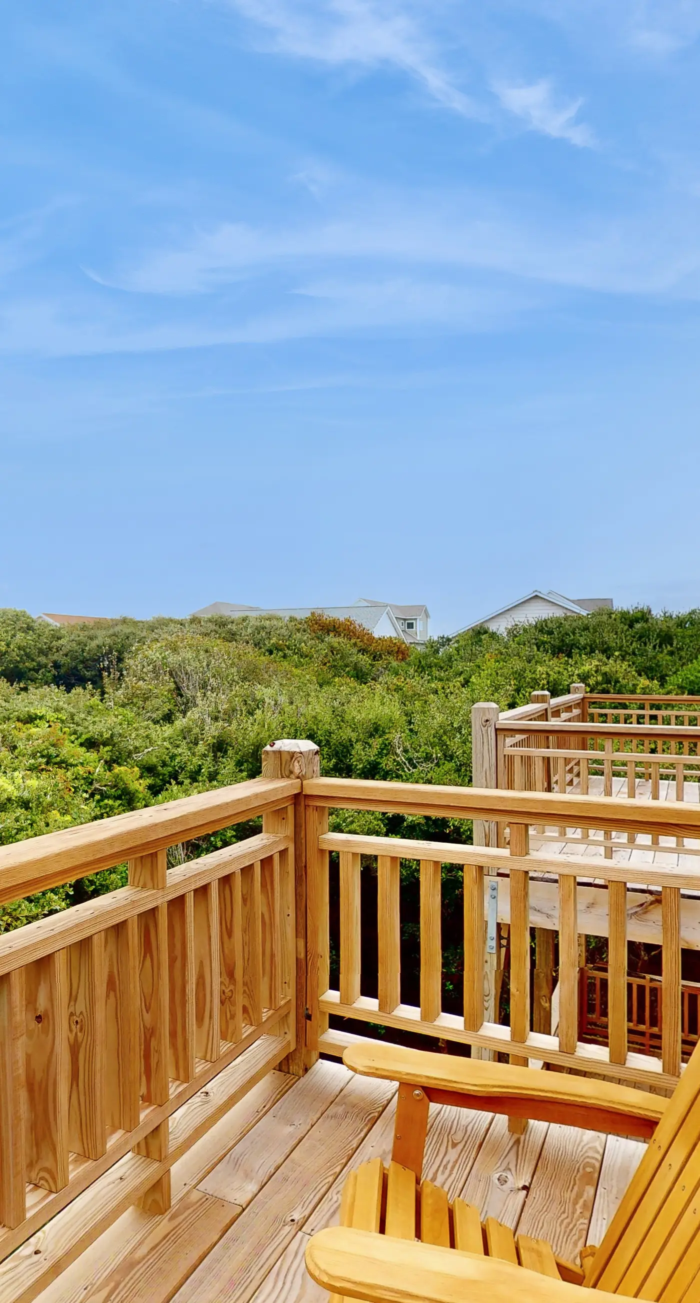 SC1407B The Salty Unicorn