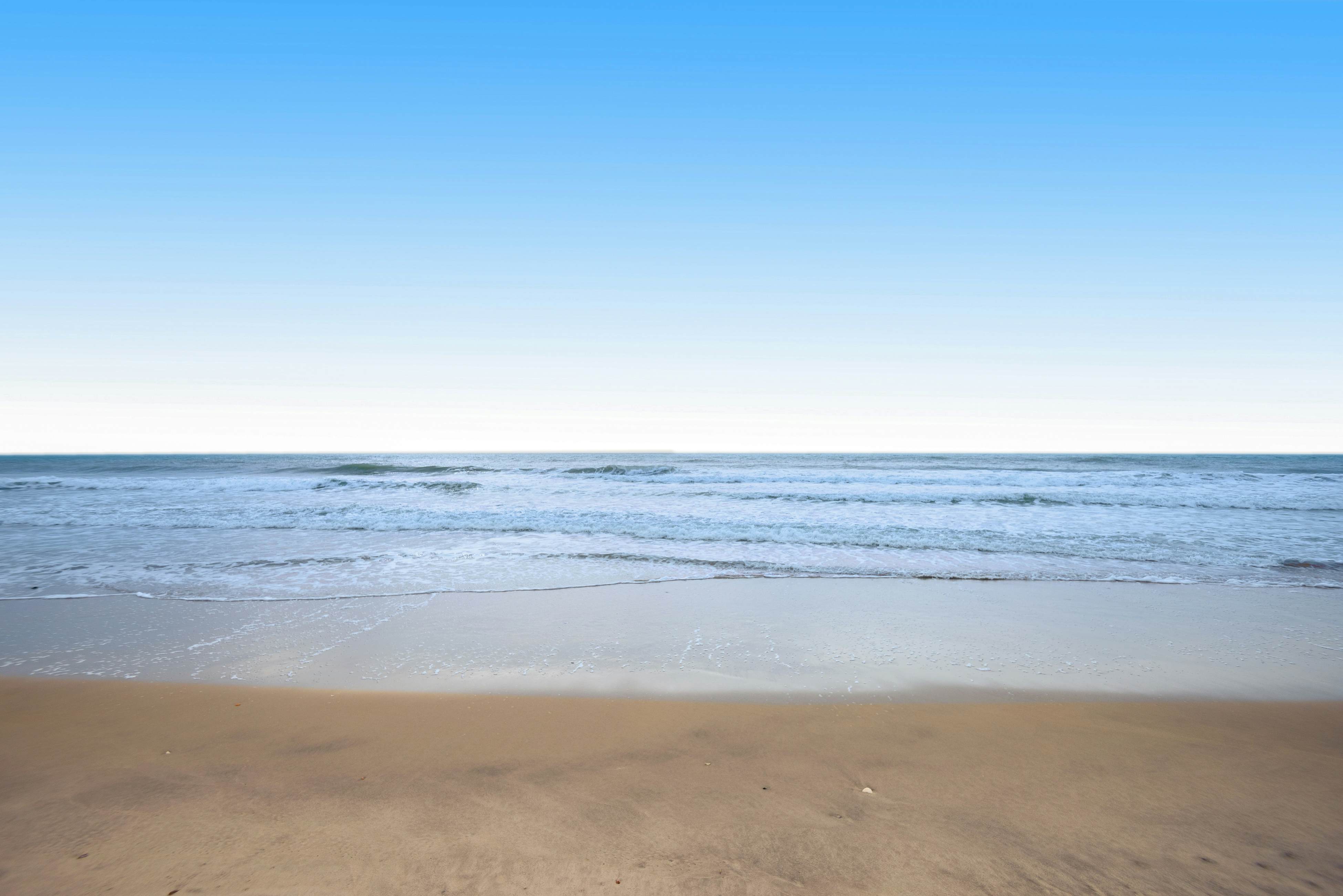 SC206 Sea Star Vista