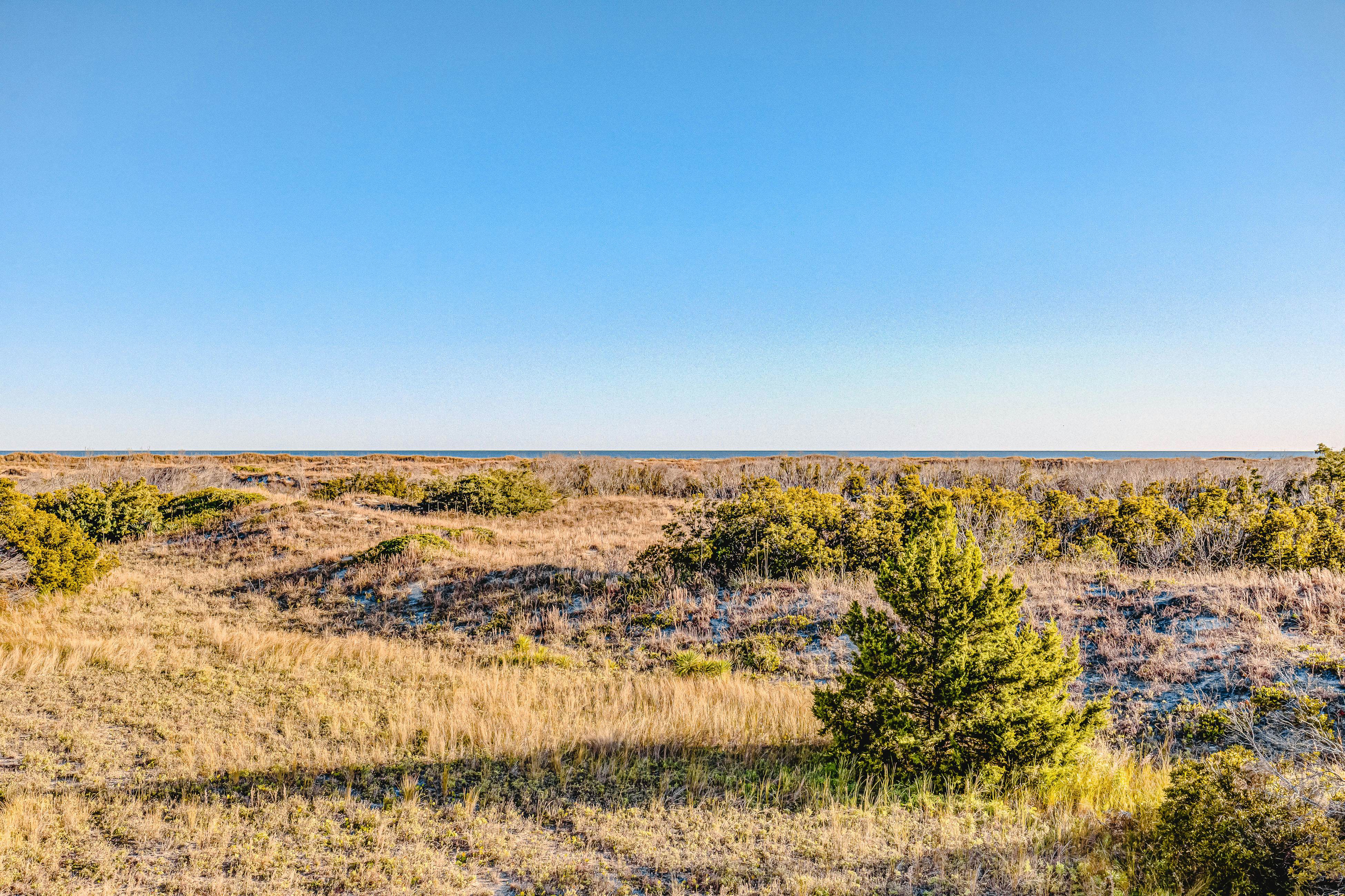 TBSP2131B Carolina Daze - Serenity Point