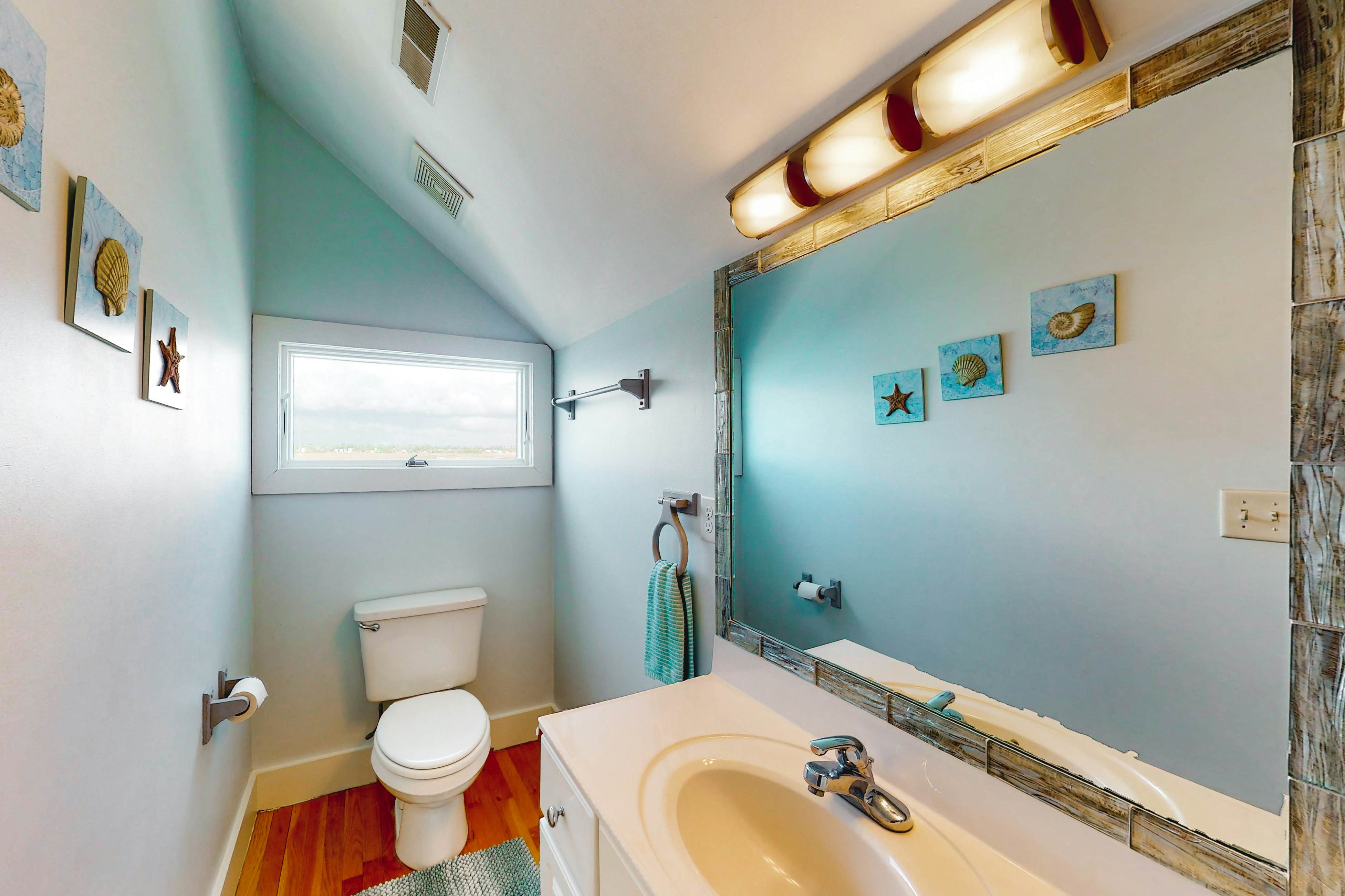 TB1336 Washed Ashore