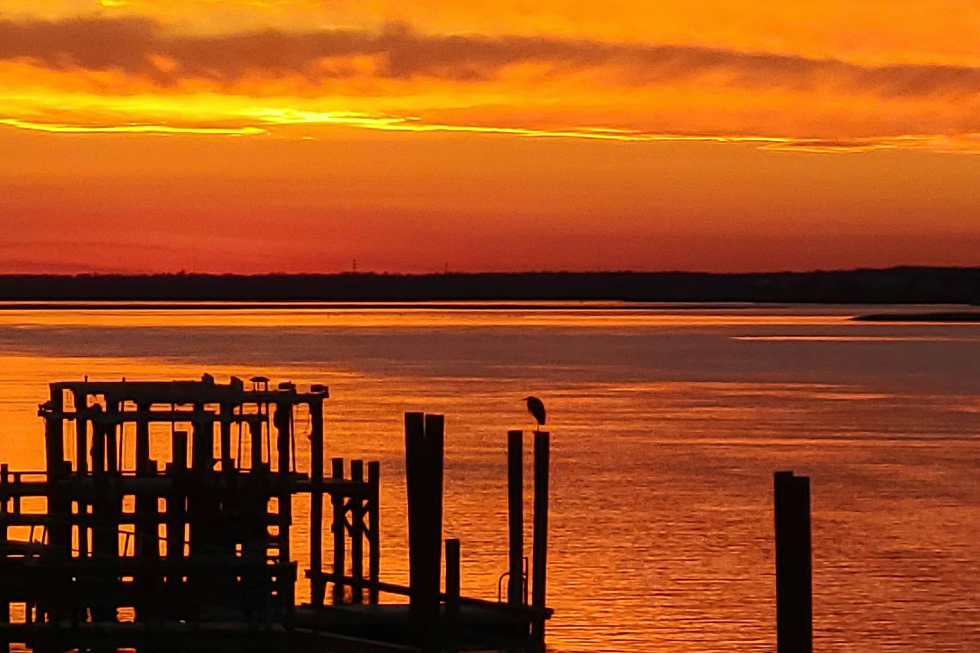 TB1336 Washed Ashore