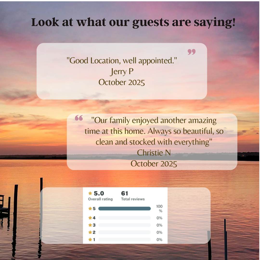 TB1336 Washed Ashore