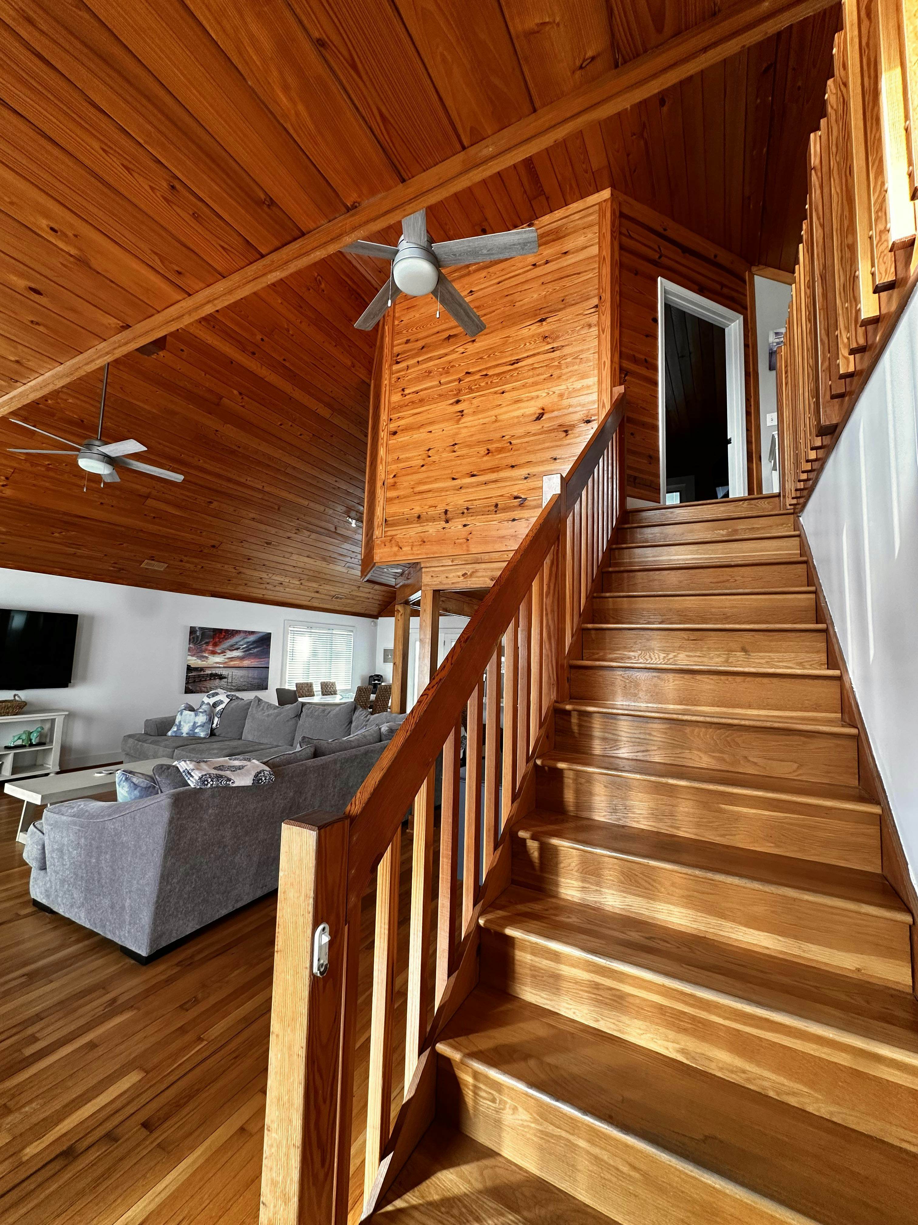 TB1336 Washed Ashore