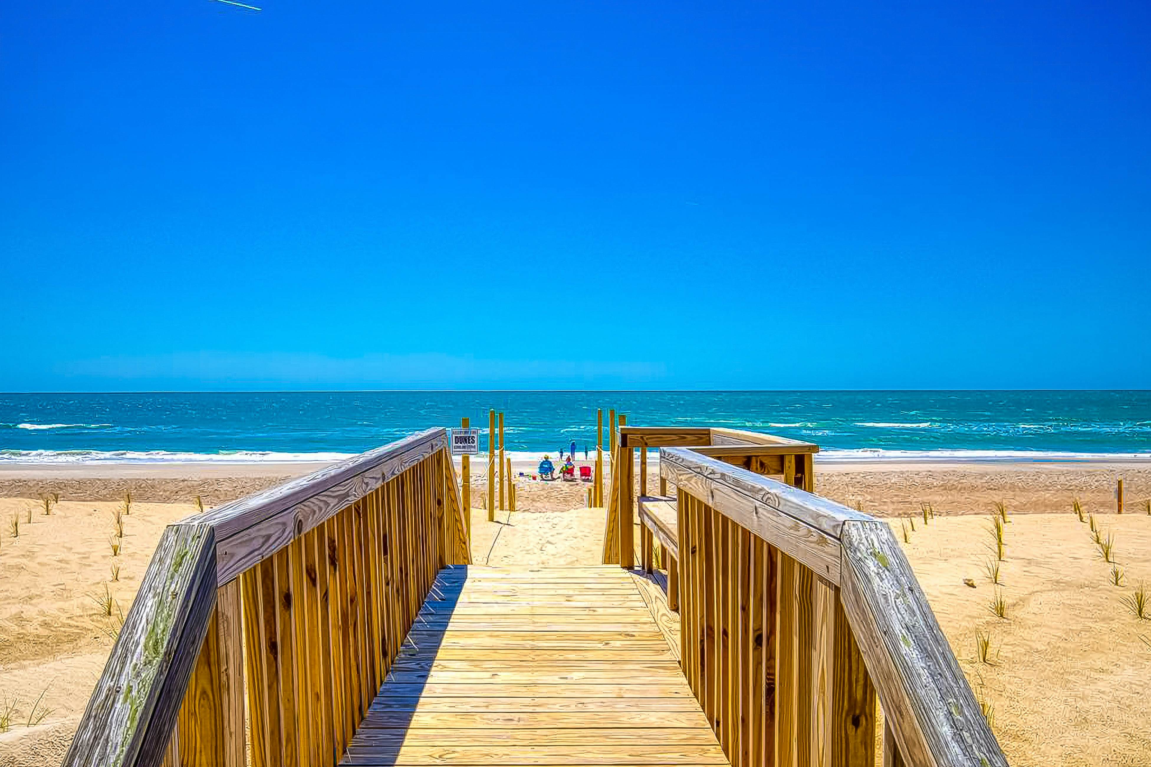 NTBHC618 Sea Horse By the Sea