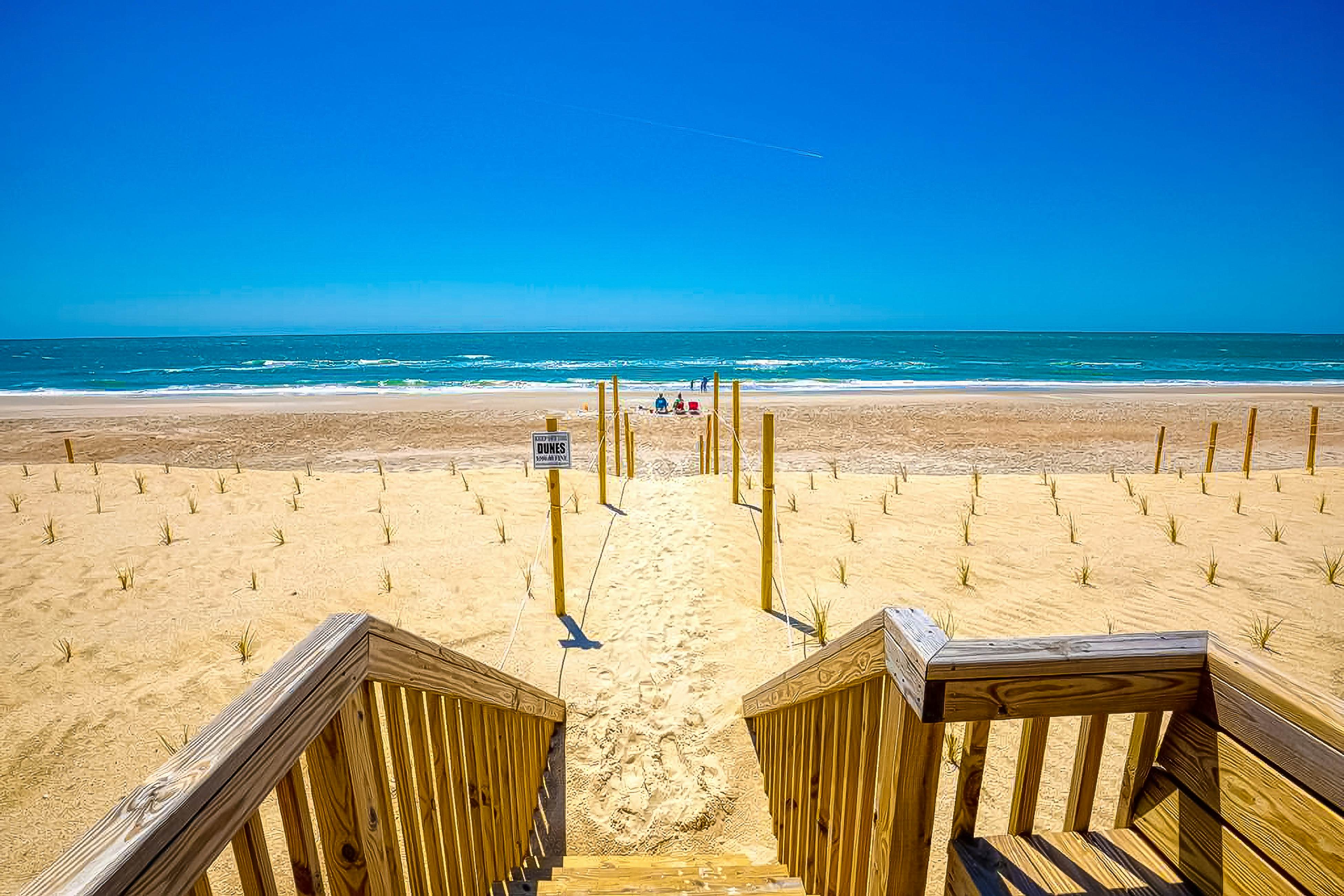 NTBHC618 Sea Horse By the Sea