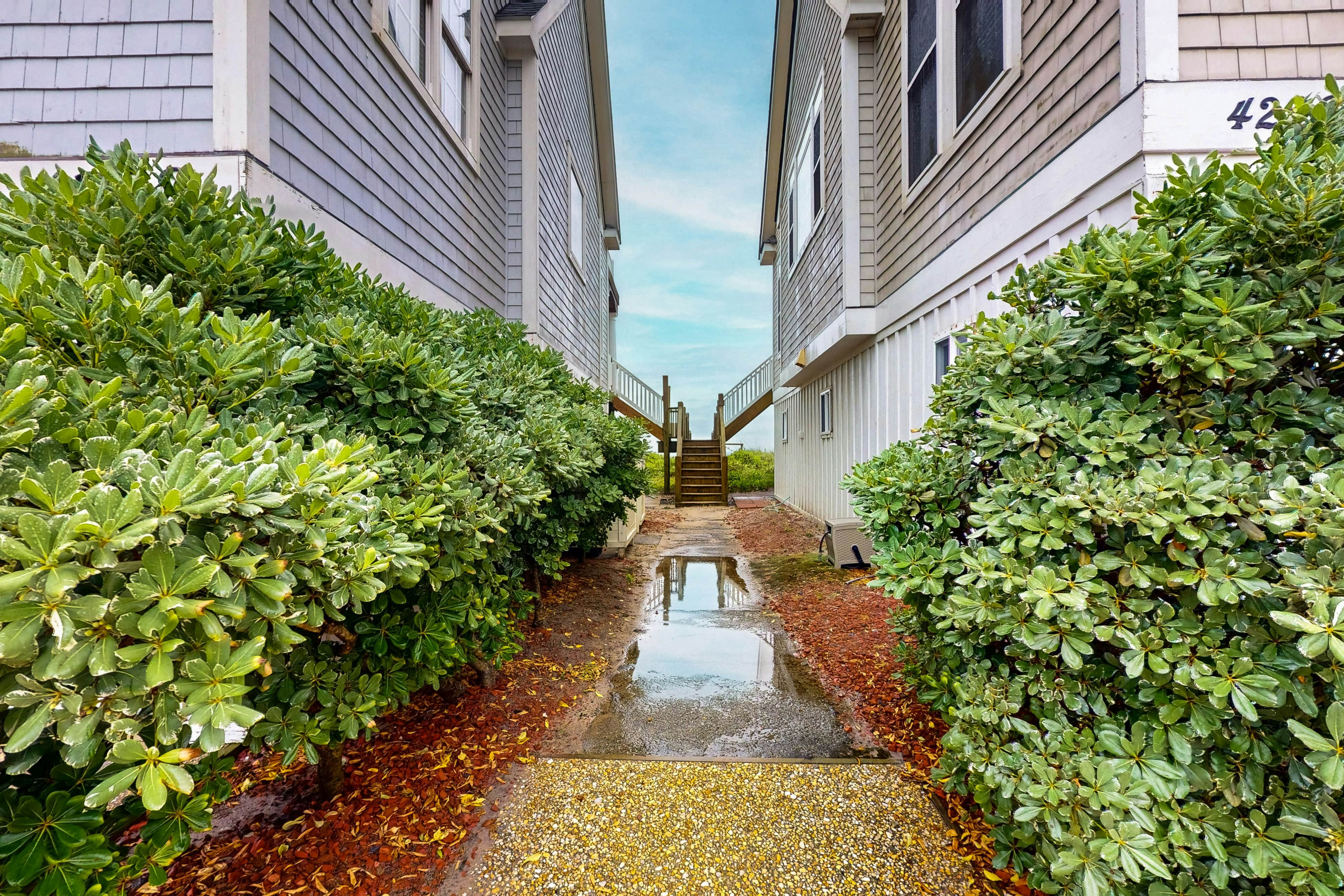 NTB4298 Beach Life Ocean Ridge