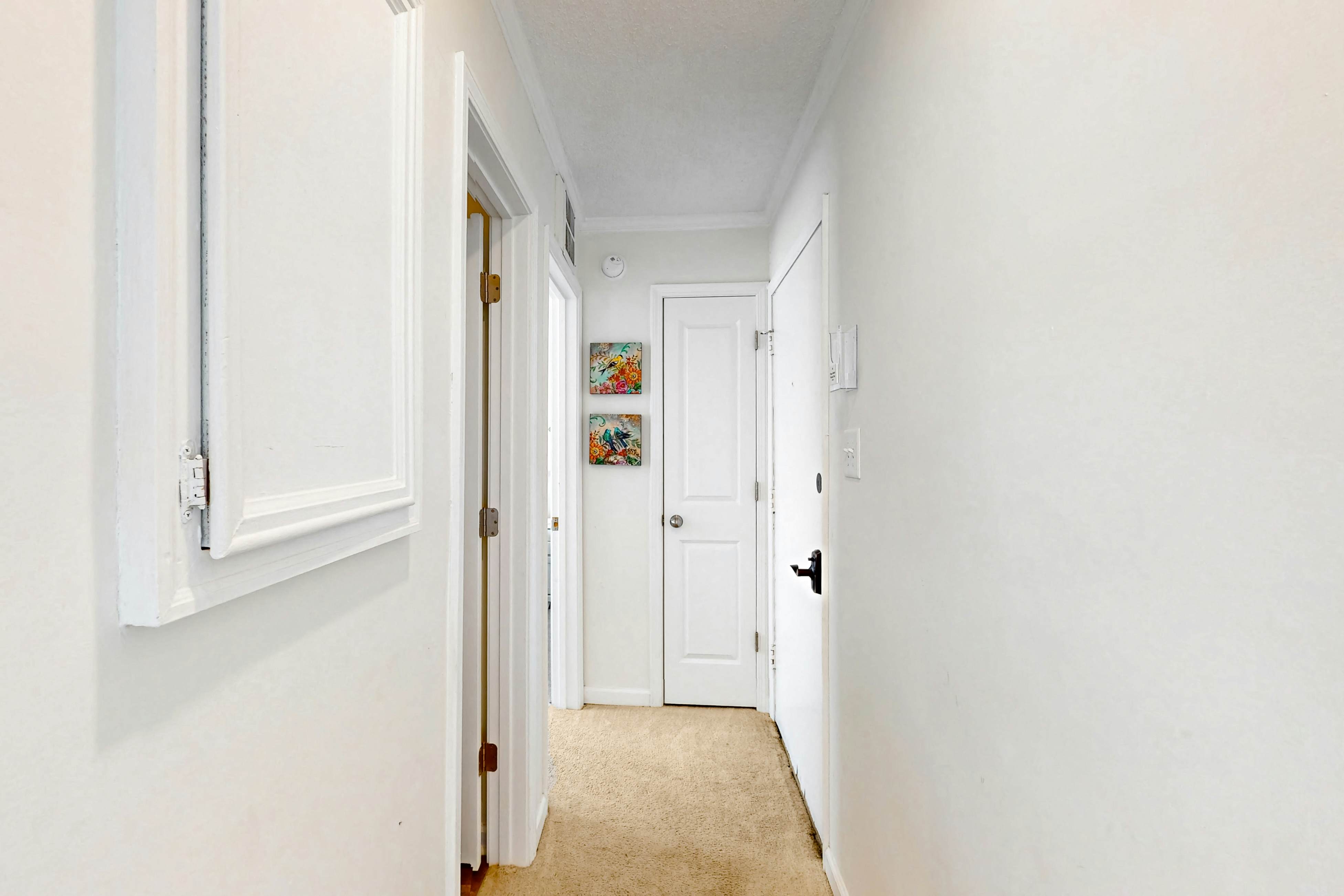 NTBTR109 Topsail Reef 109