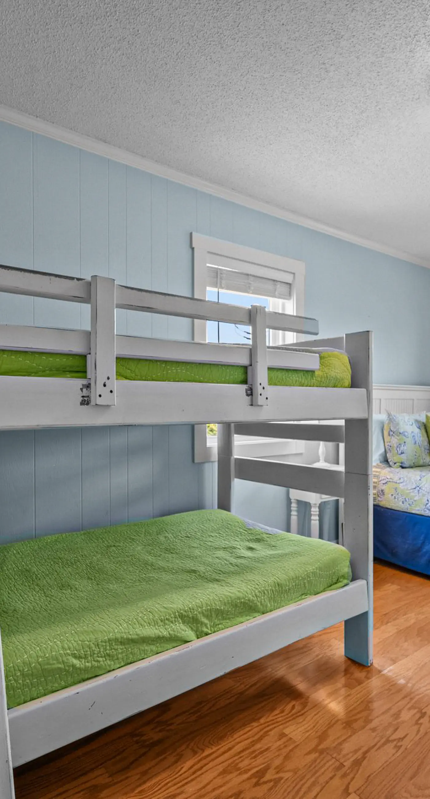 SC1344 Action Tide-Song