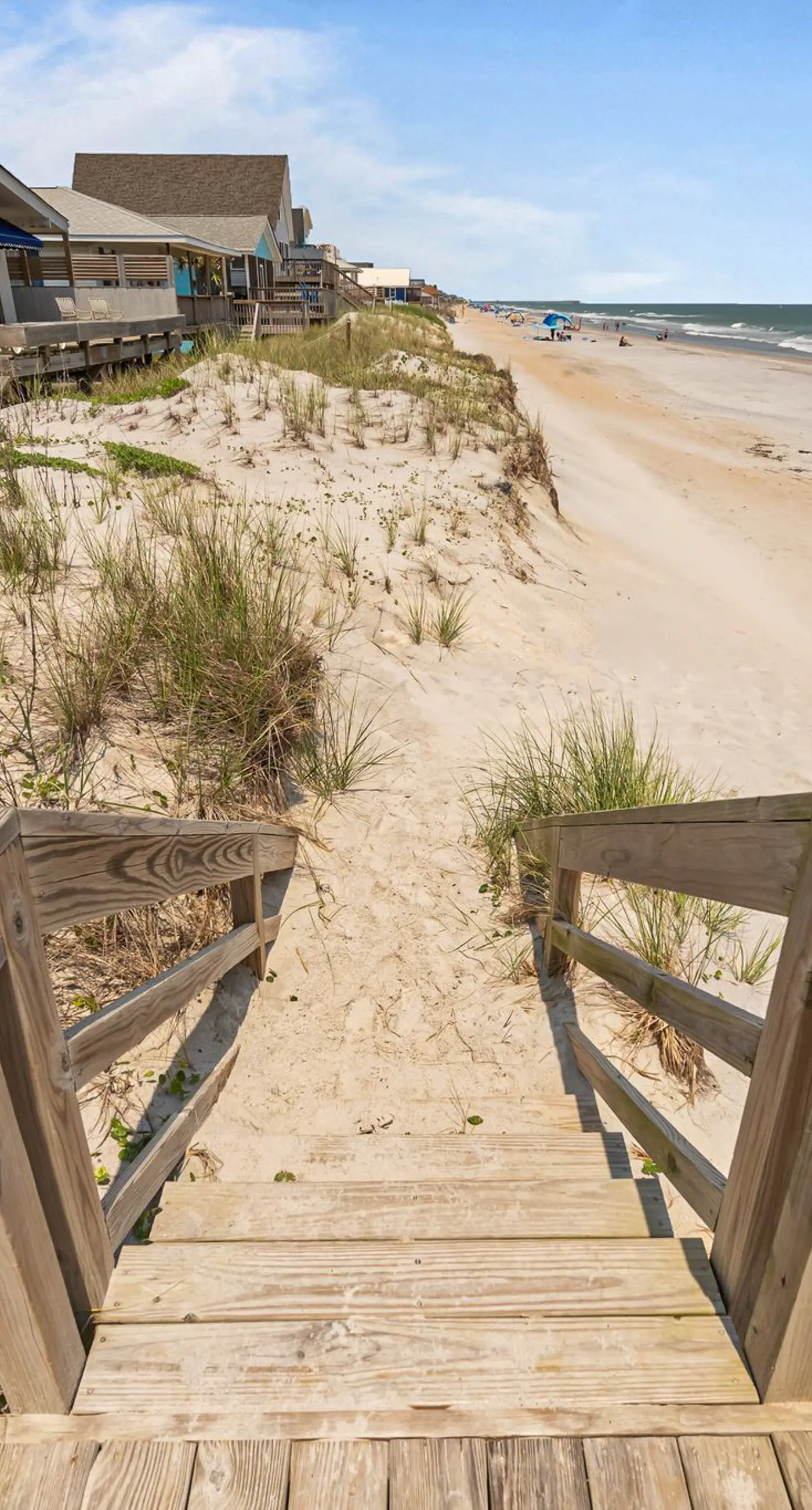 SC1344 Action Tide-Song