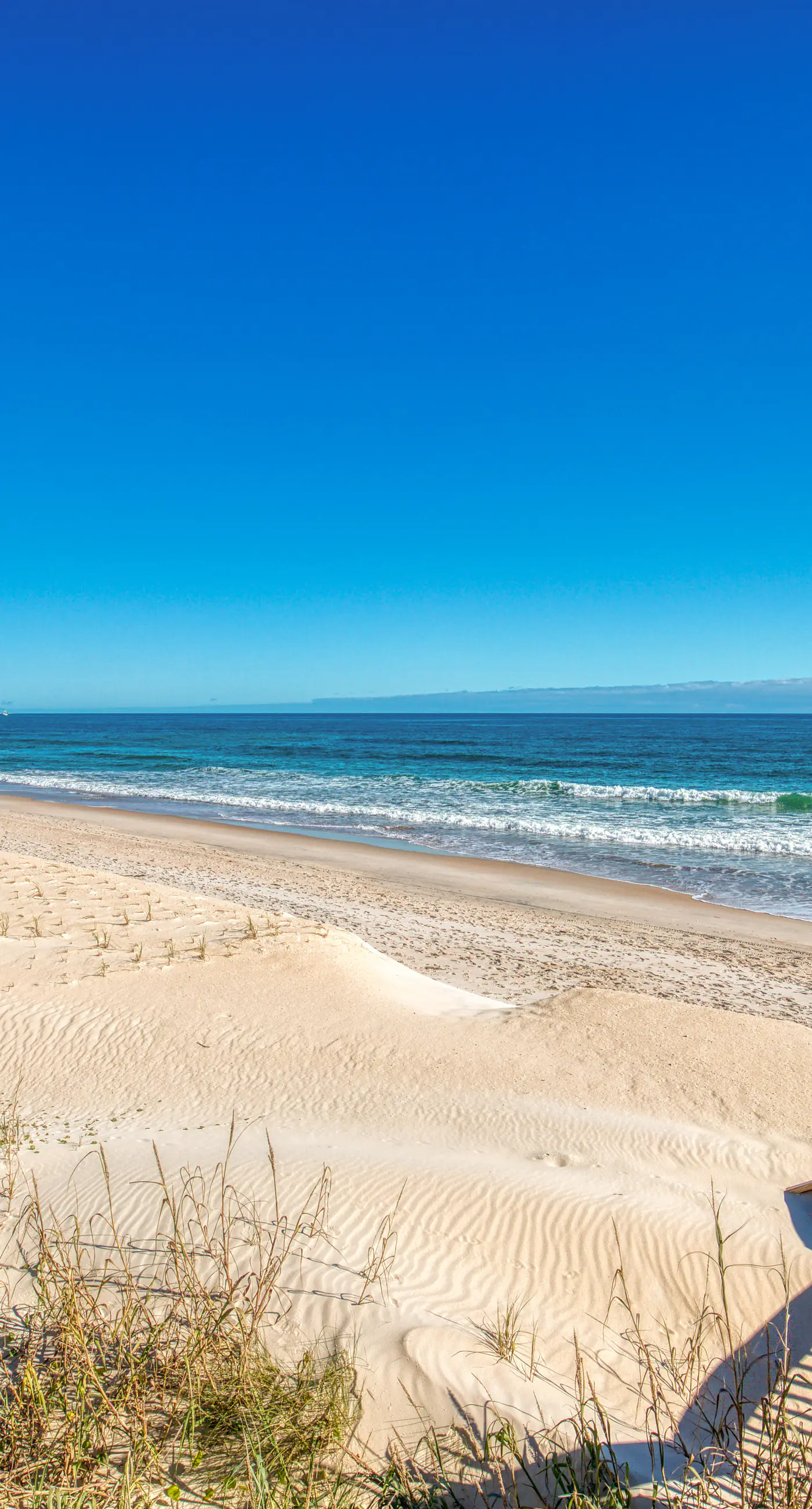 SC1344 Action Tide-Song