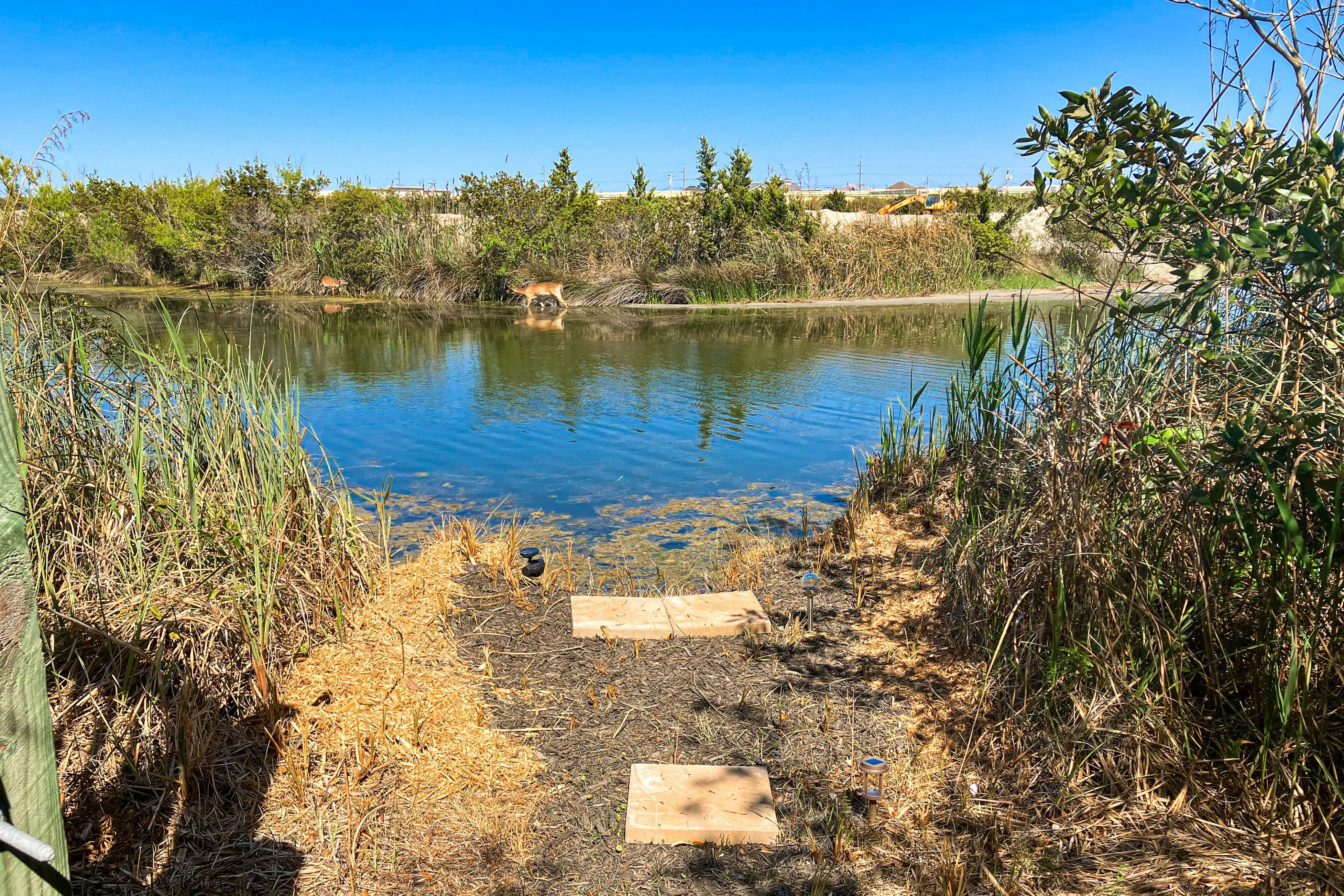 AVKS1716 Lady of the Lake #16-17