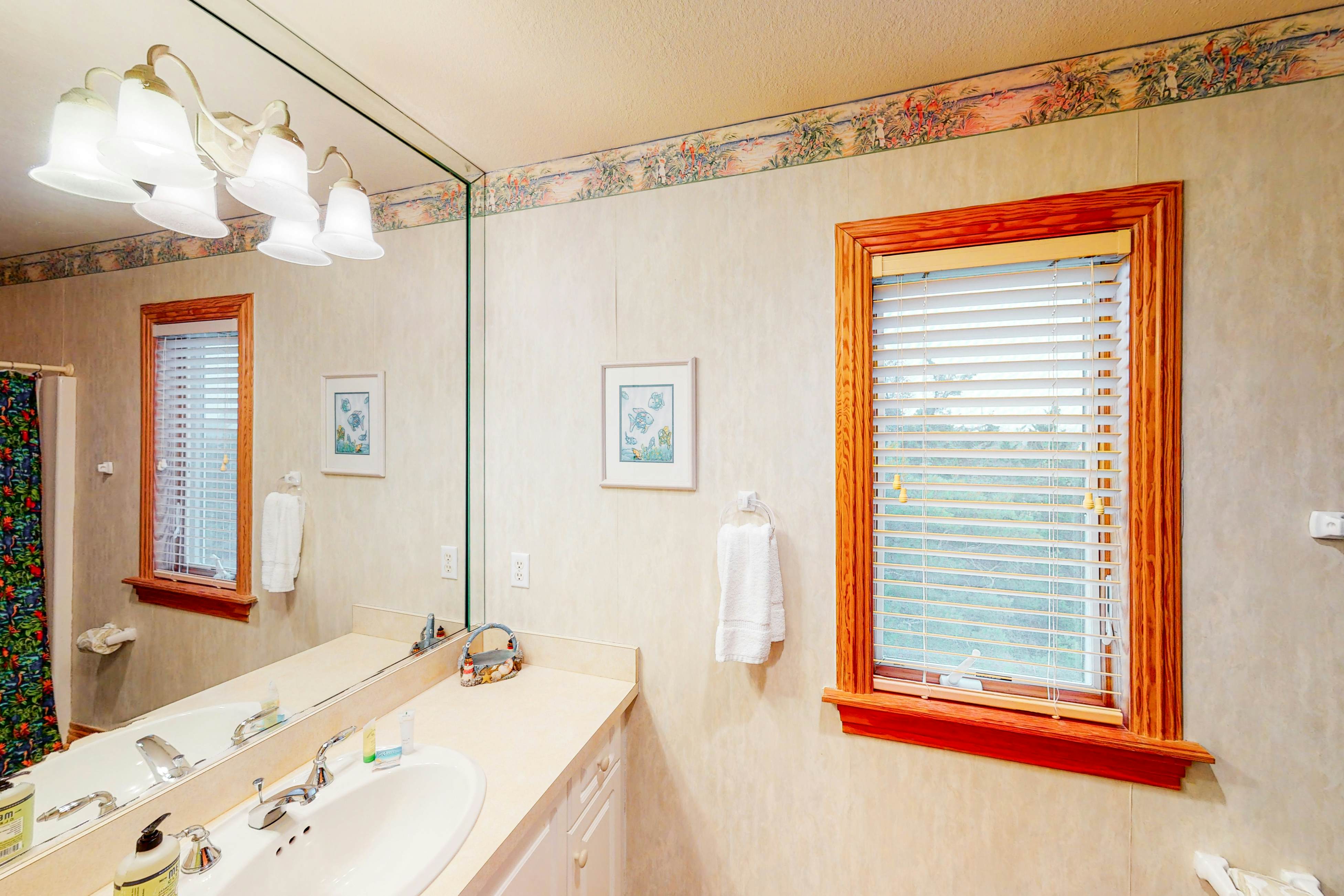 AVKS634 Carolina Sunshine #34-6