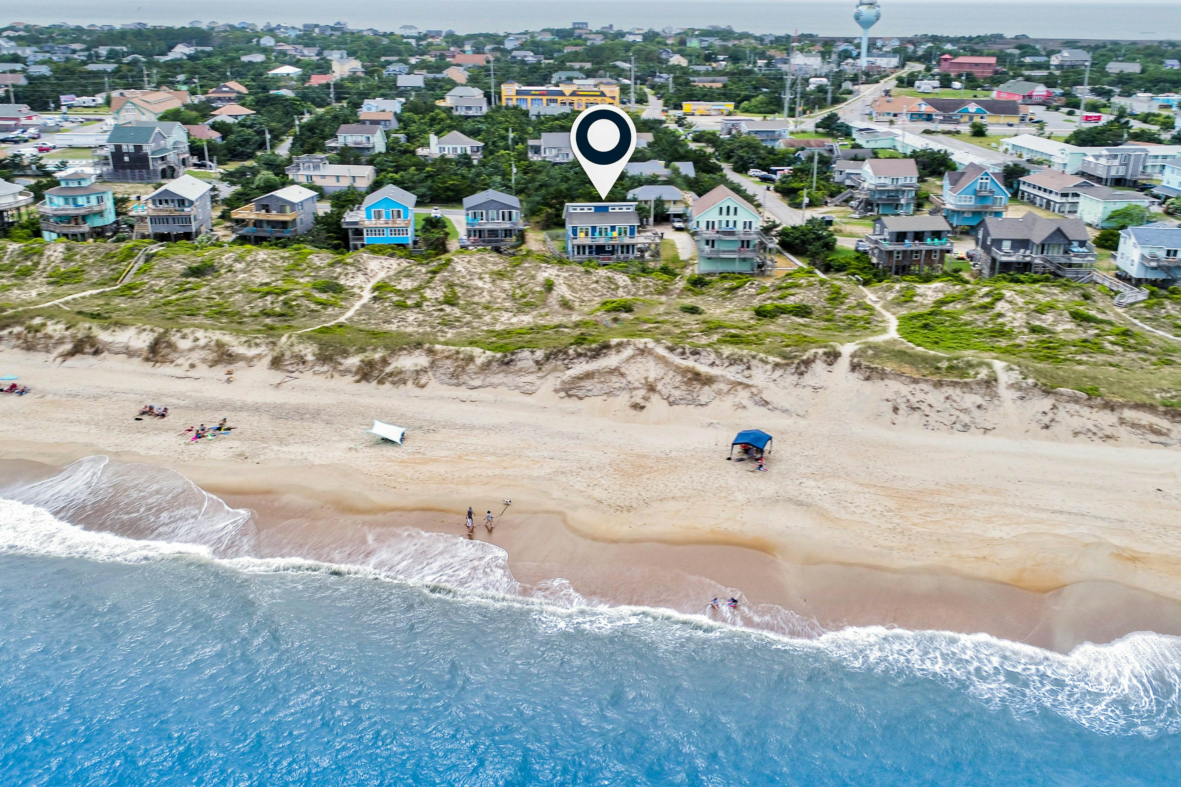 AVHC13 Sand Dollar  #13-HC