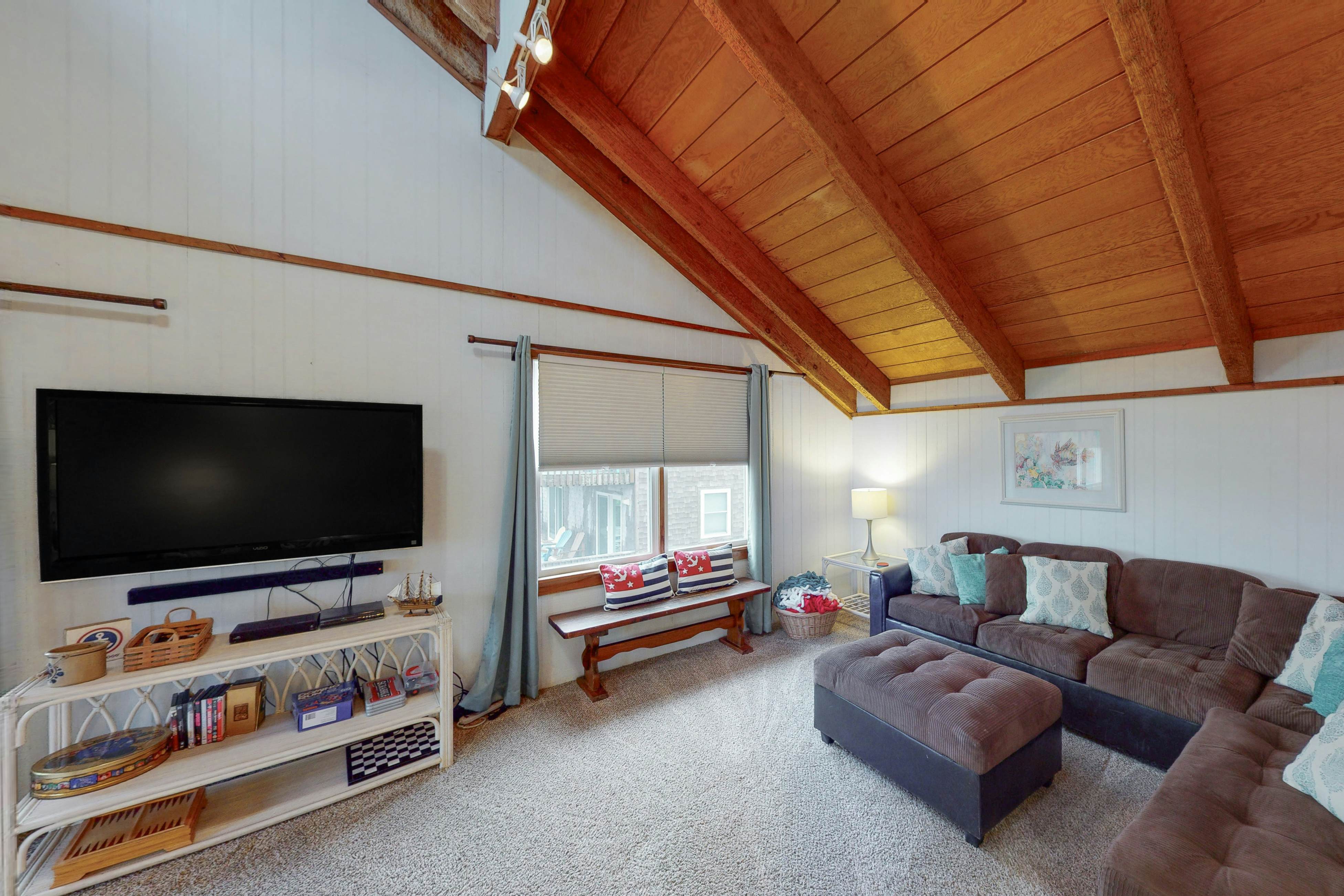 AVHC13 Sand Dollar  #13-HC