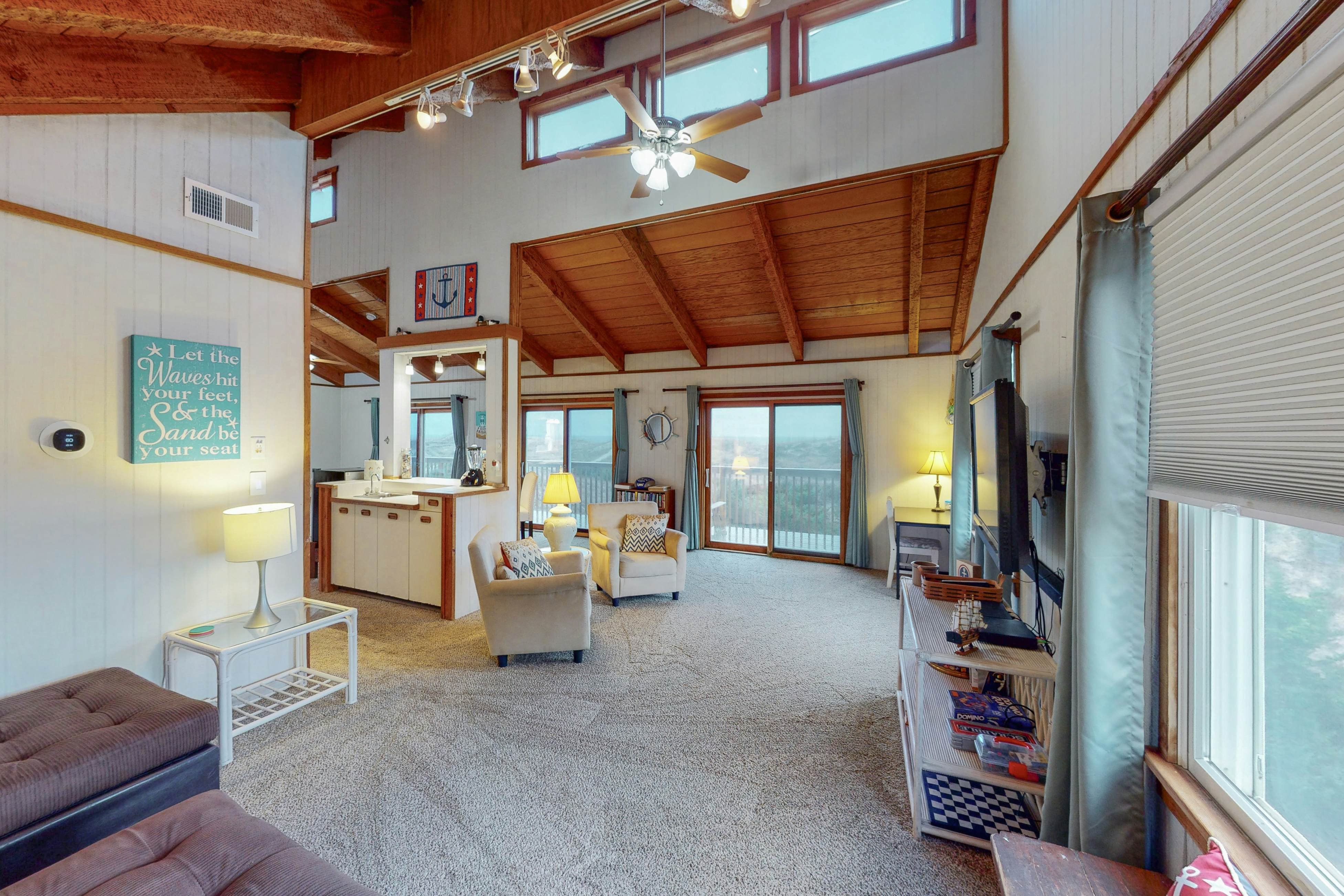 AVHC13 Sand Dollar  #13-HC