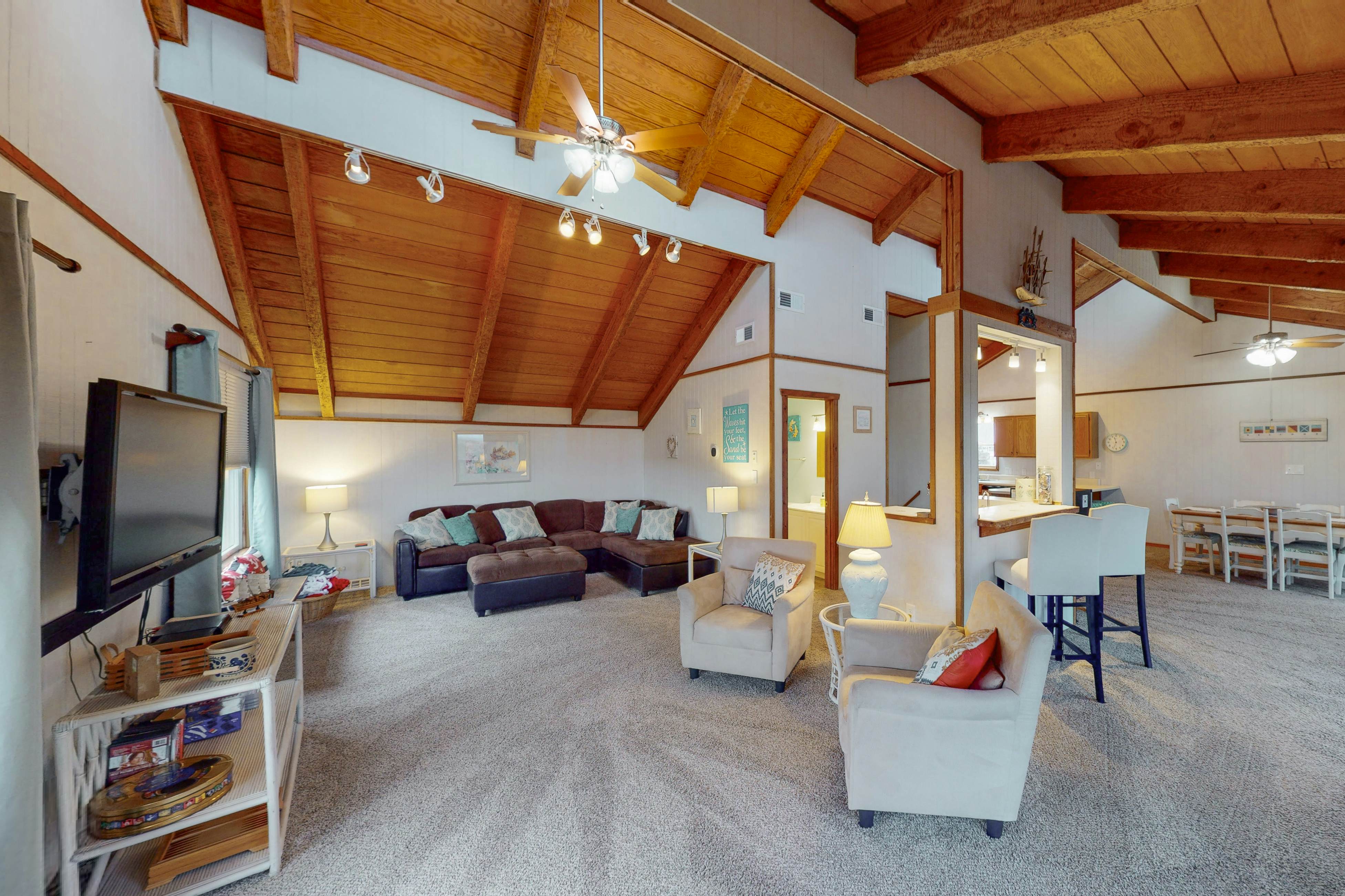 AVHC13 Sand Dollar  #13-HC