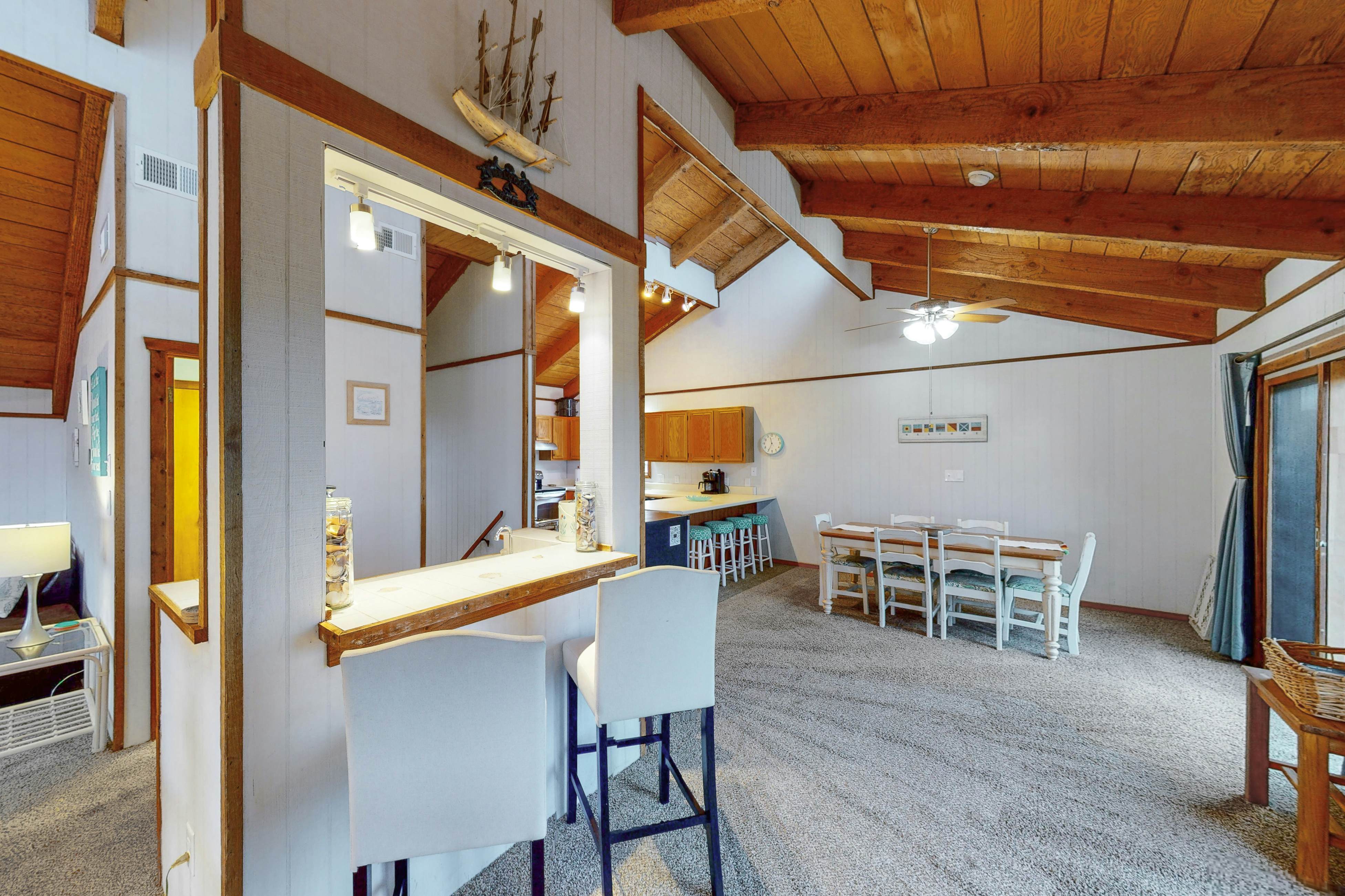 AVHC13 Sand Dollar  #13-HC