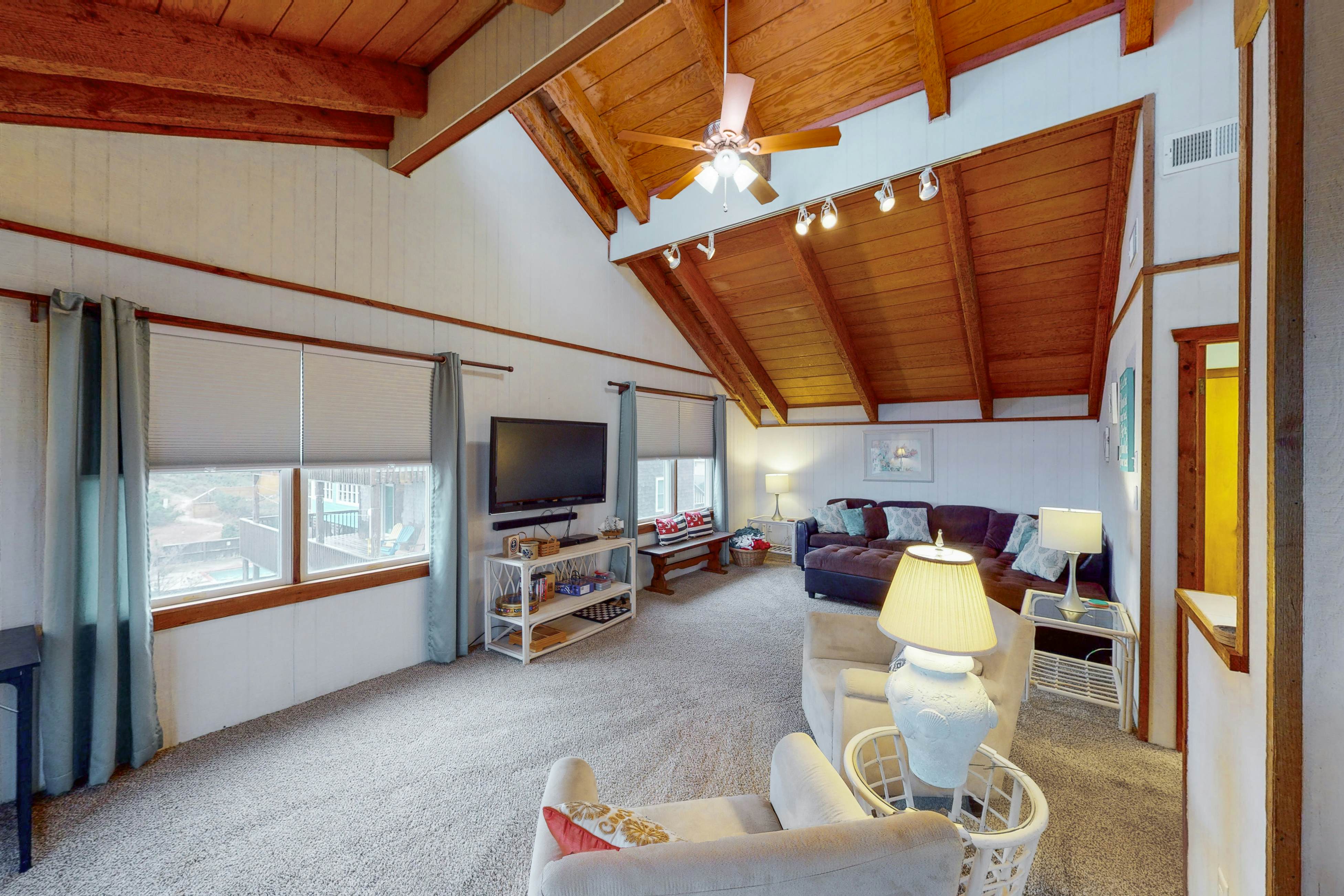 AVHC13 Sand Dollar  #13-HC