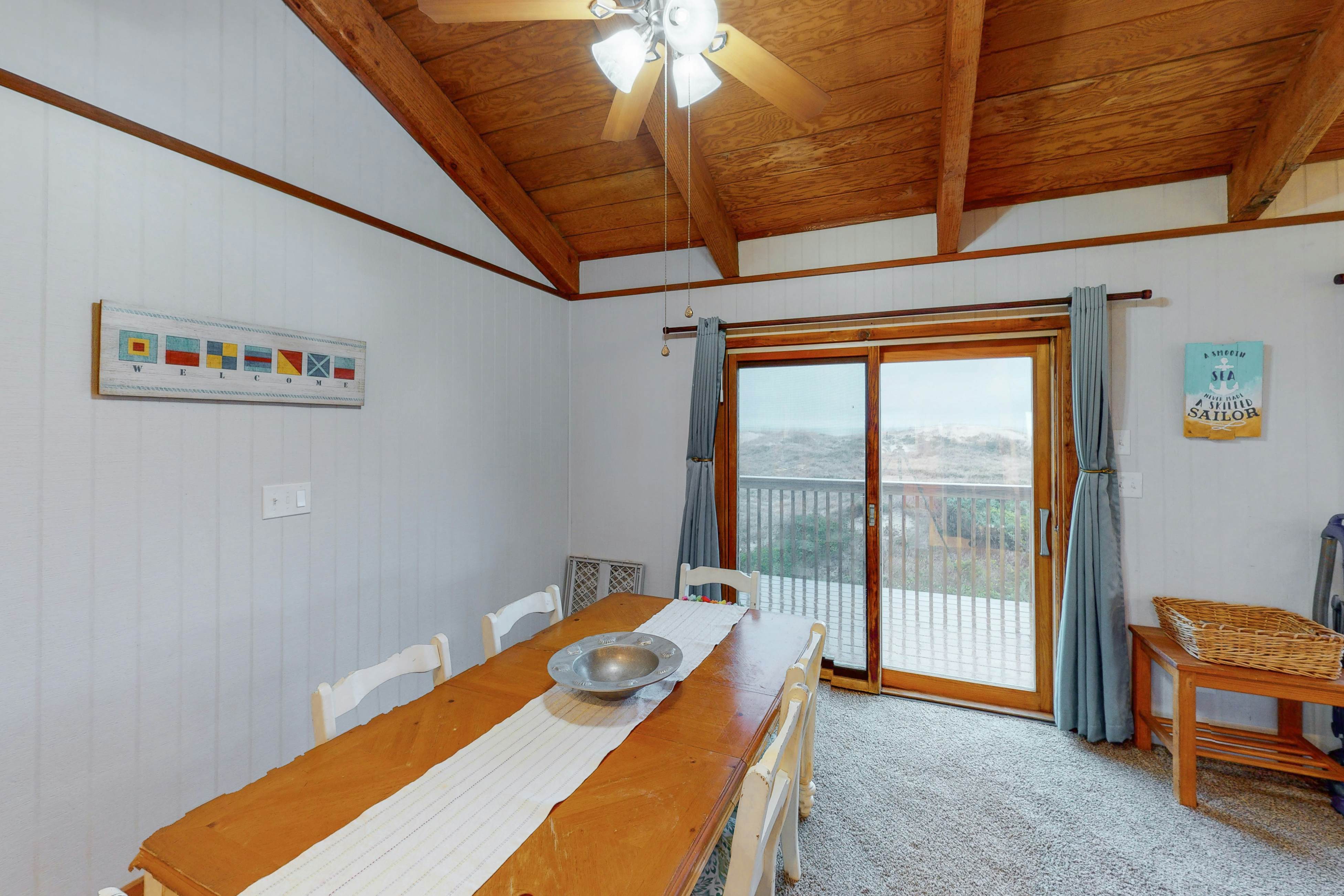 AVHC13 Sand Dollar  #13-HC