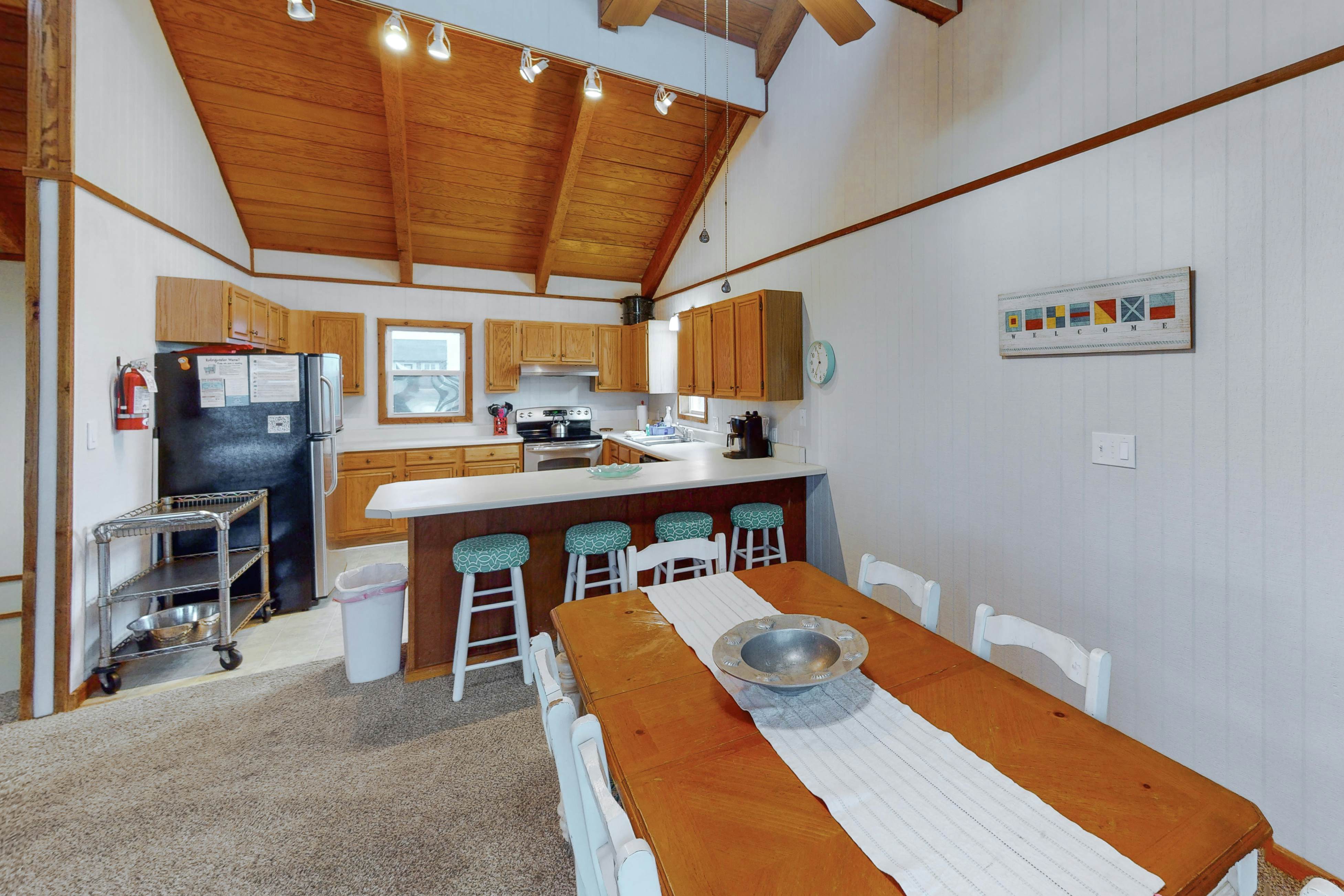 AVHC13 Sand Dollar  #13-HC