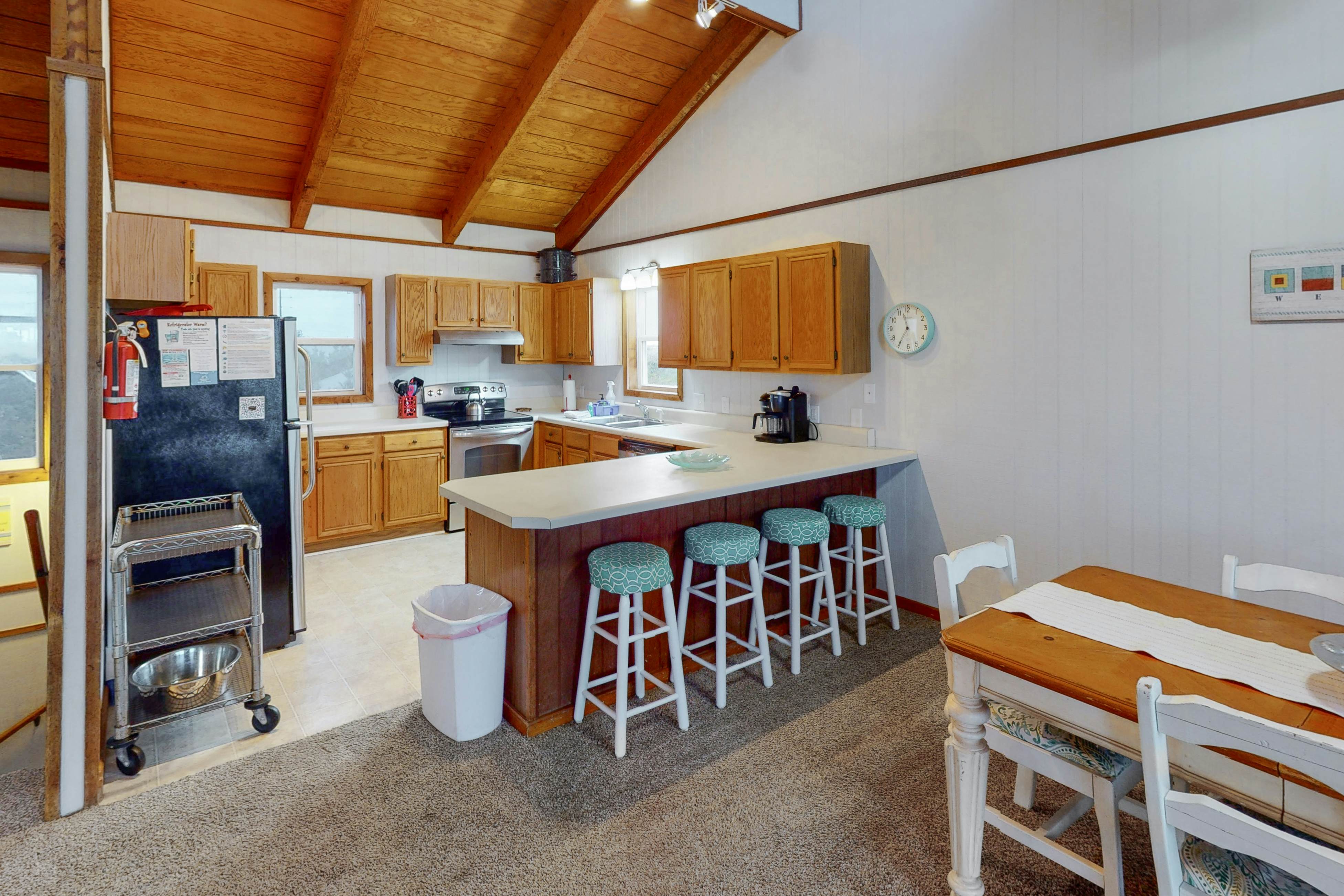 AVHC13 Sand Dollar  #13-HC