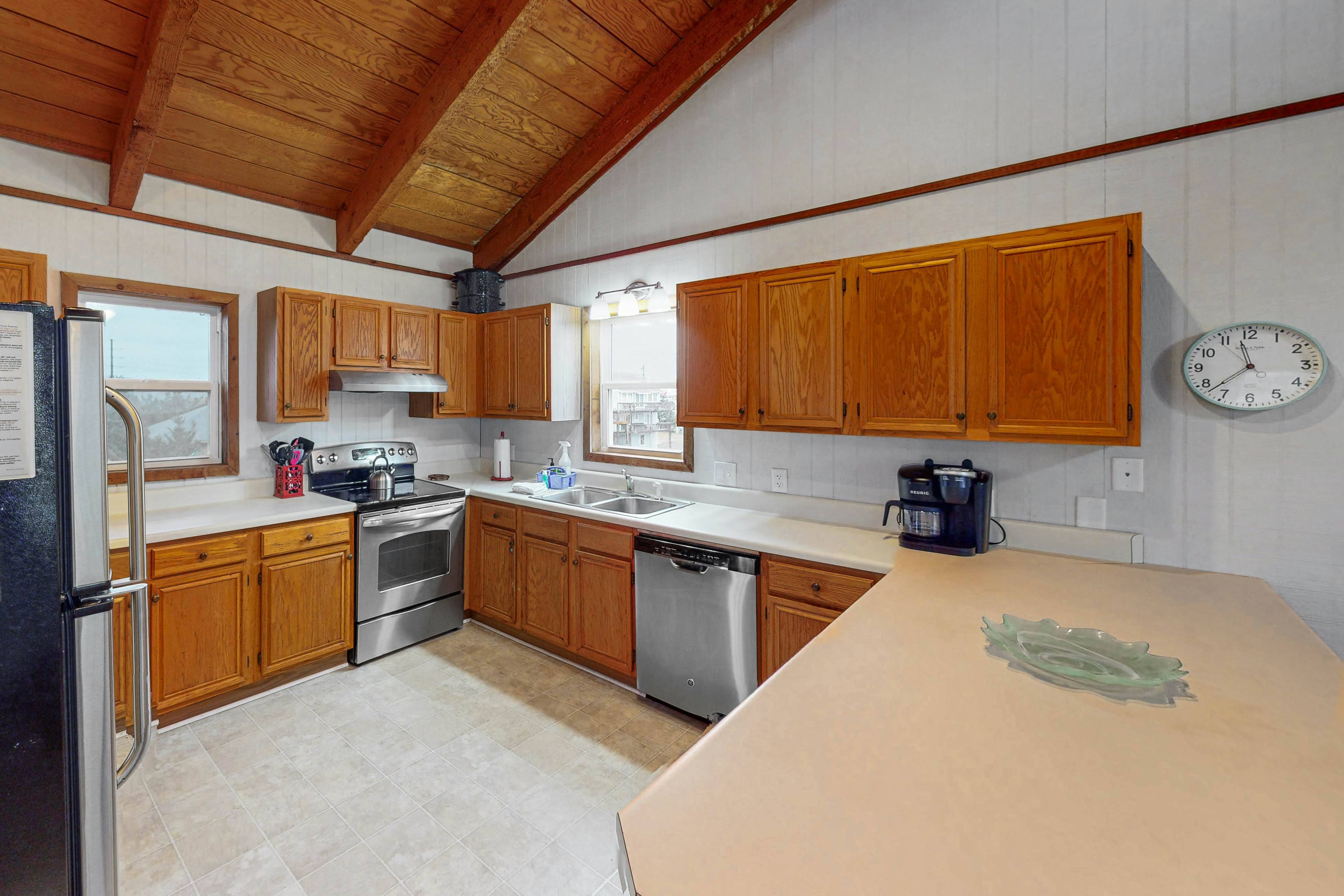 AVHC13 Sand Dollar  #13-HC