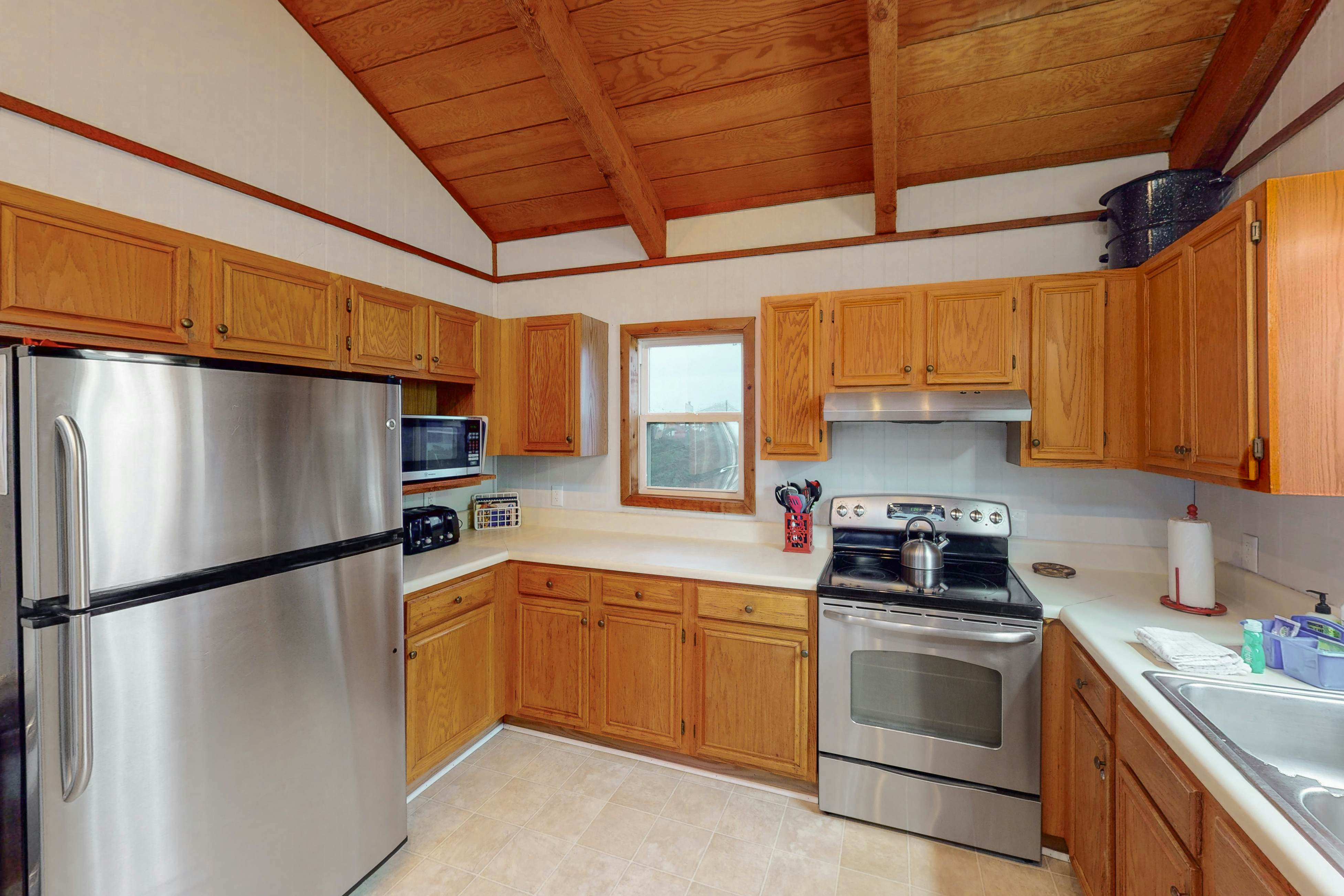 AVHC13 Sand Dollar  #13-HC