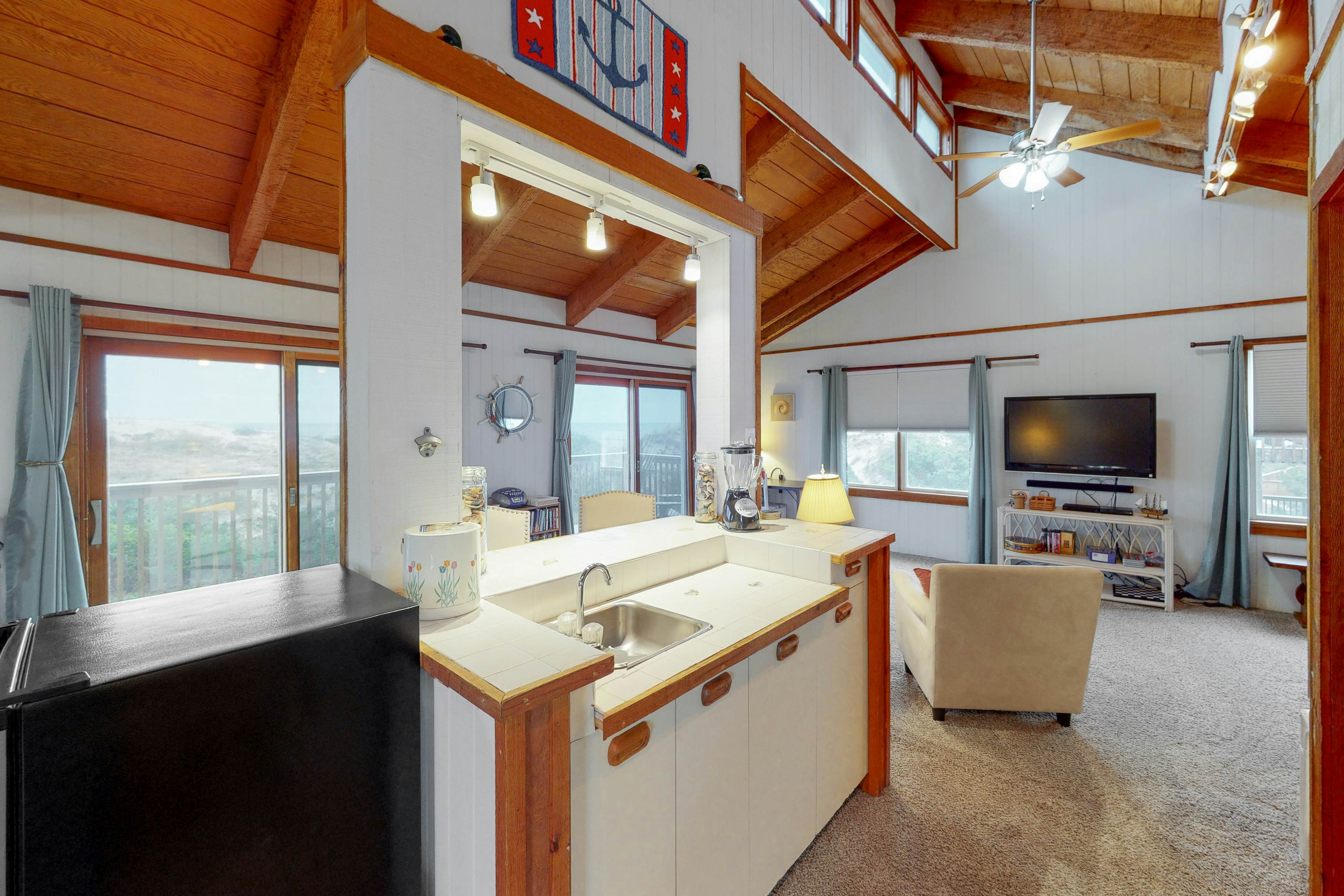 AVHC13 Sand Dollar  #13-HC